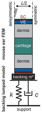 Pharmaceutics 14 01625 i006 Pharmaceutics 14 01625 i006