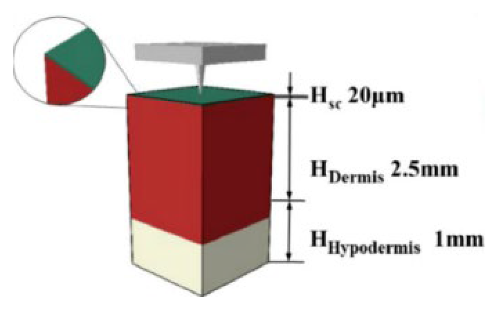 Pharmaceutics 14 01625 i007 Pharmaceutics 14 01625 i007