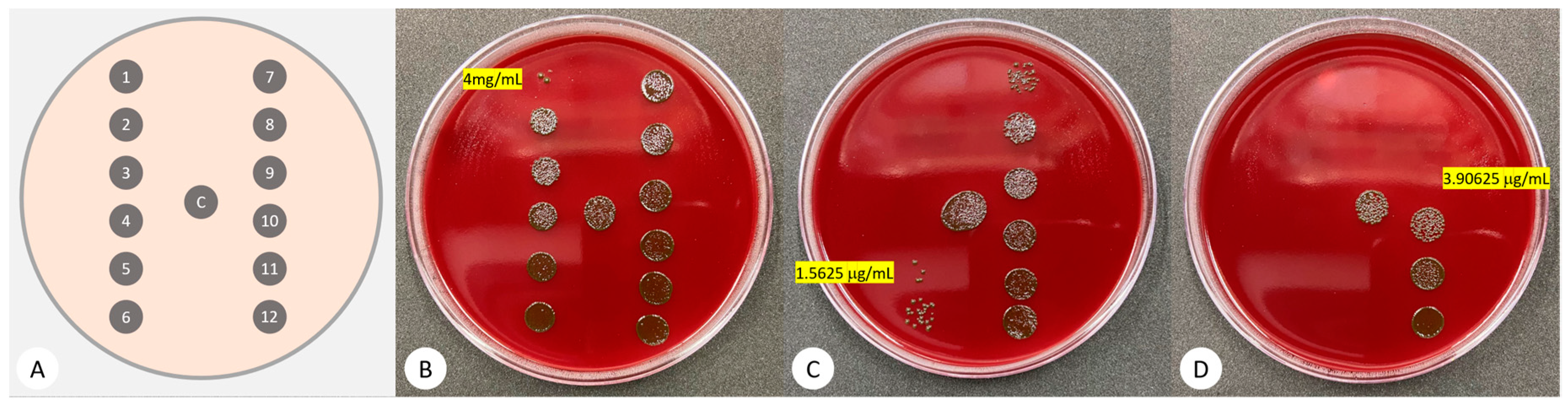 Pharmaceutics 14 01628 g001