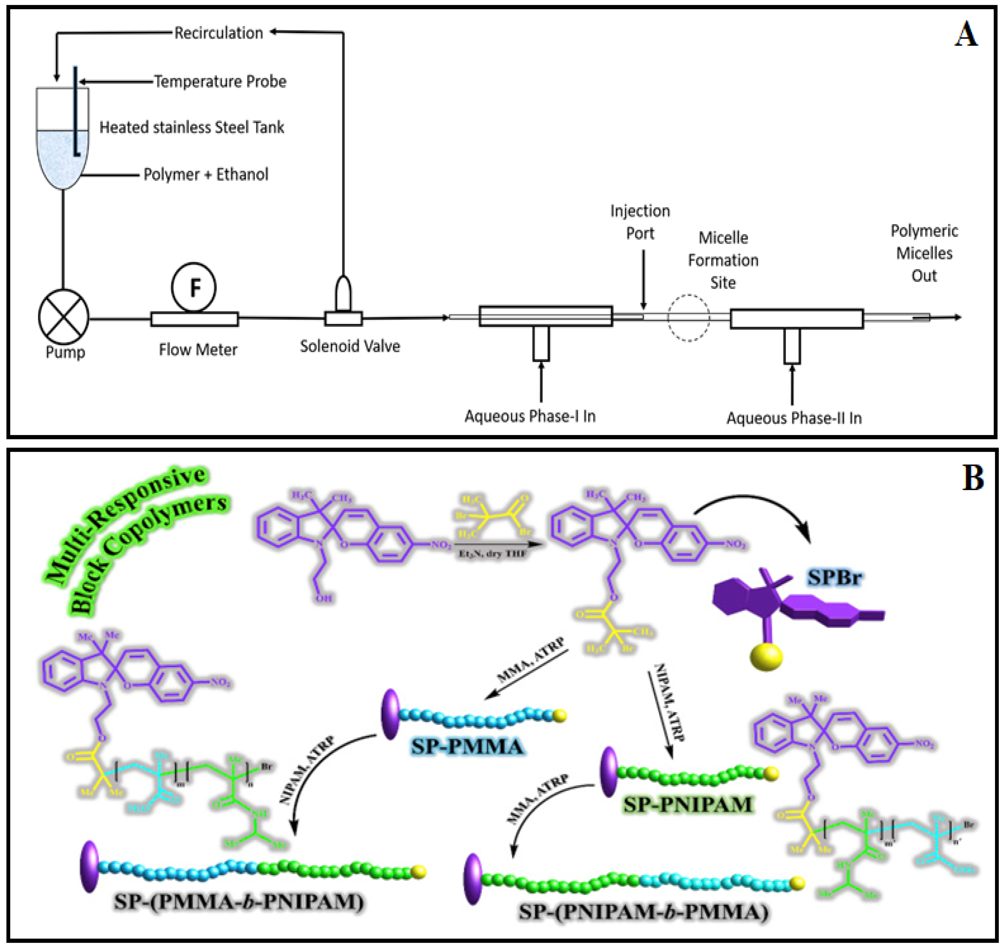 Pharmaceutics 14 01636 g001