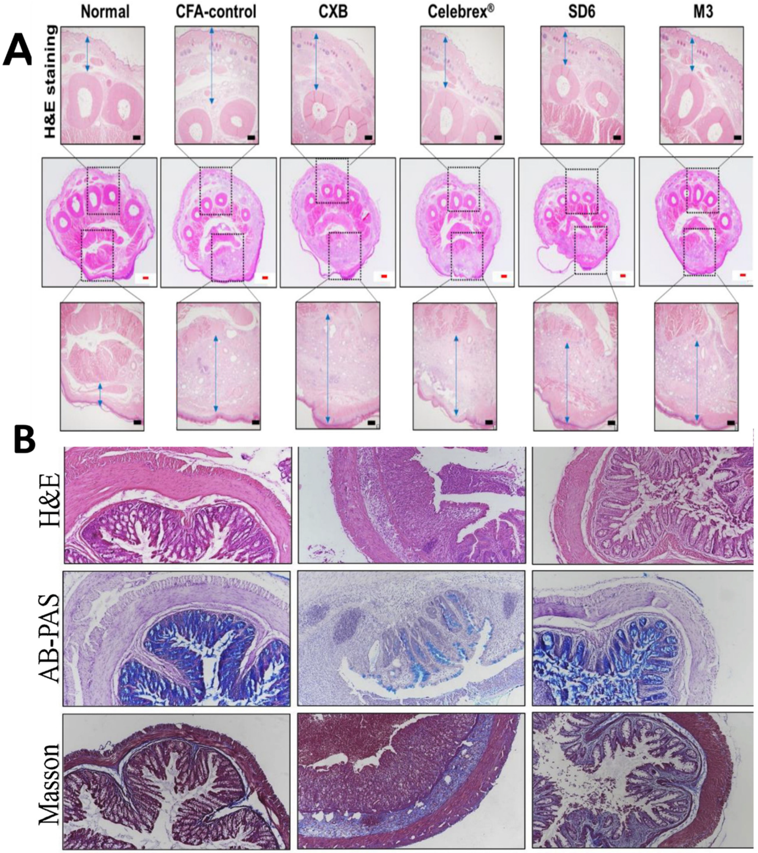 Pharmaceutics 14 01636 g004