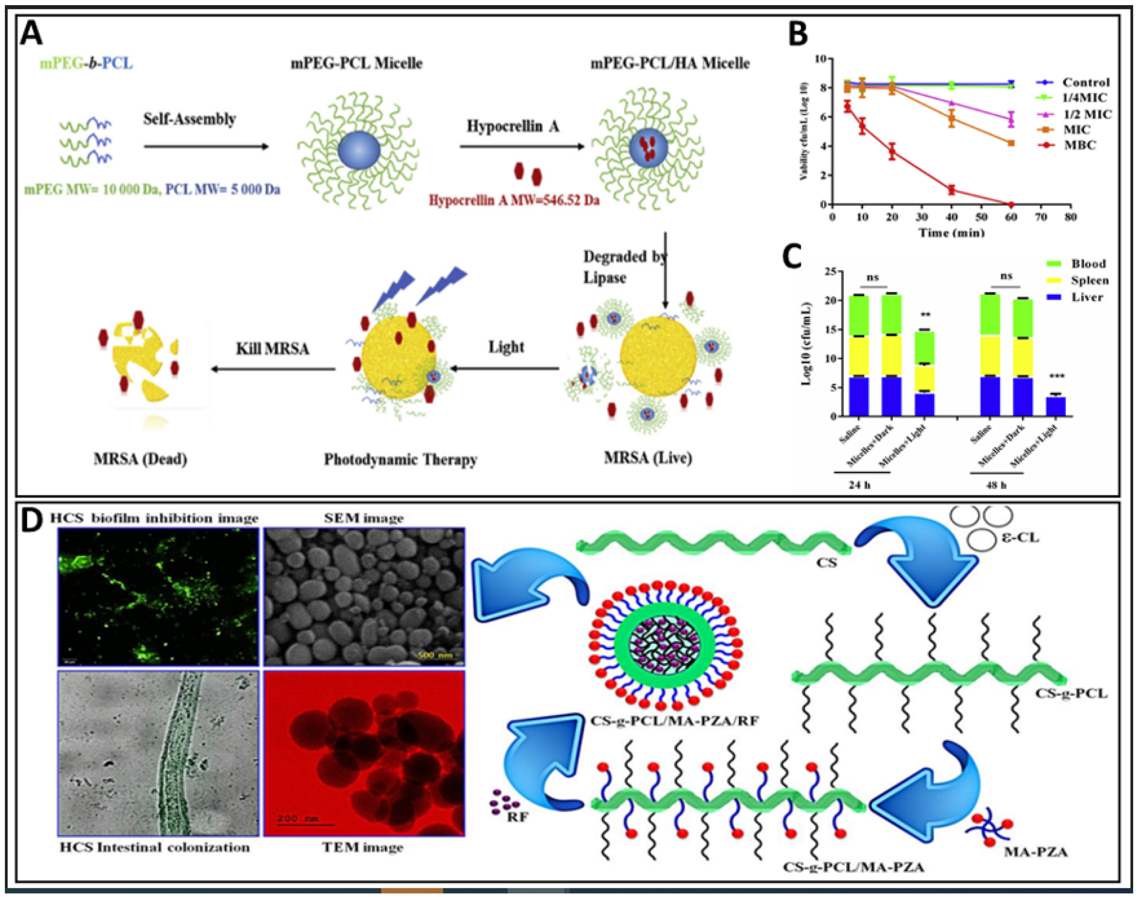Pharmaceutics 14 01636 g006