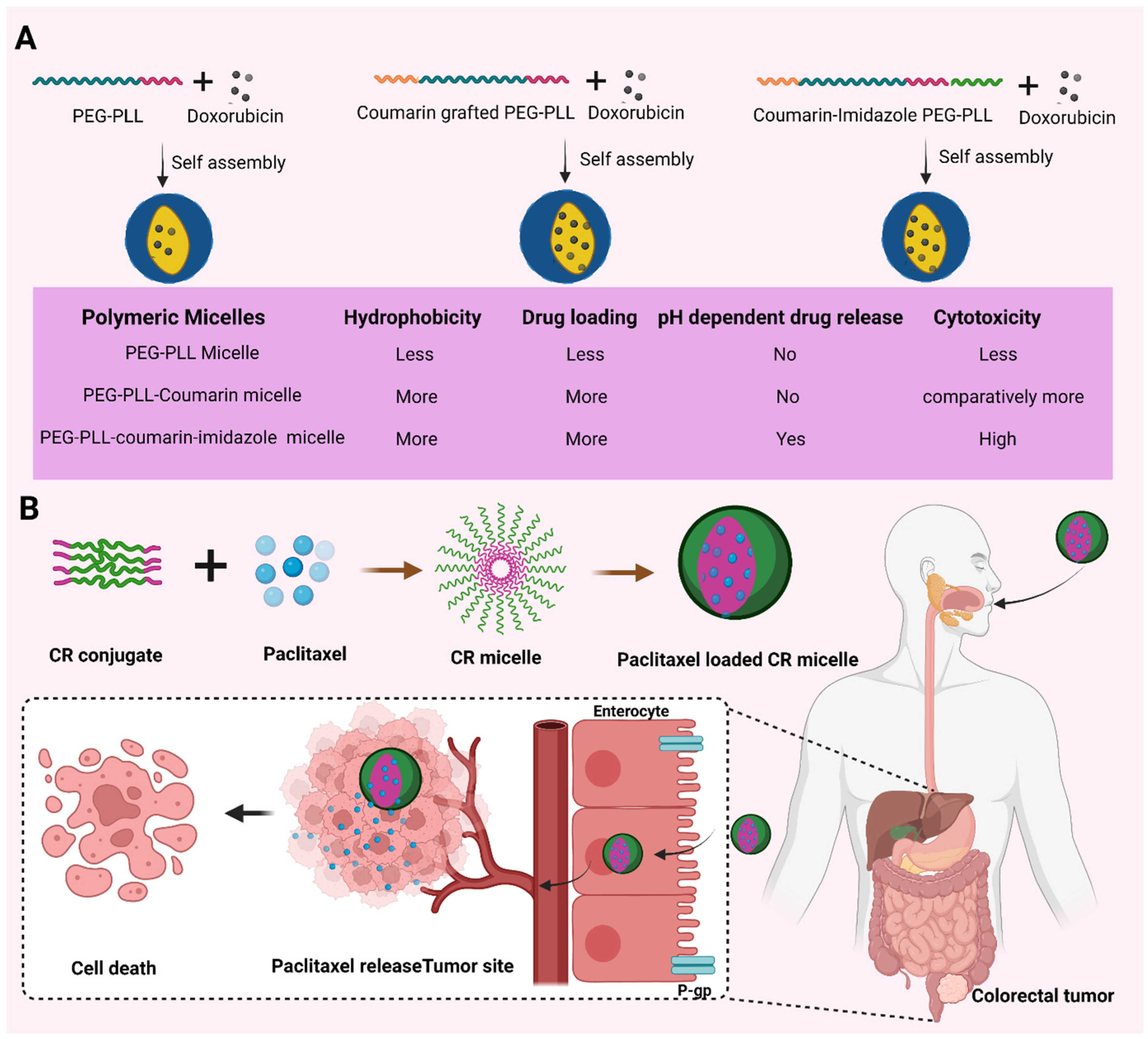 Pharmaceutics 14 01636 g009