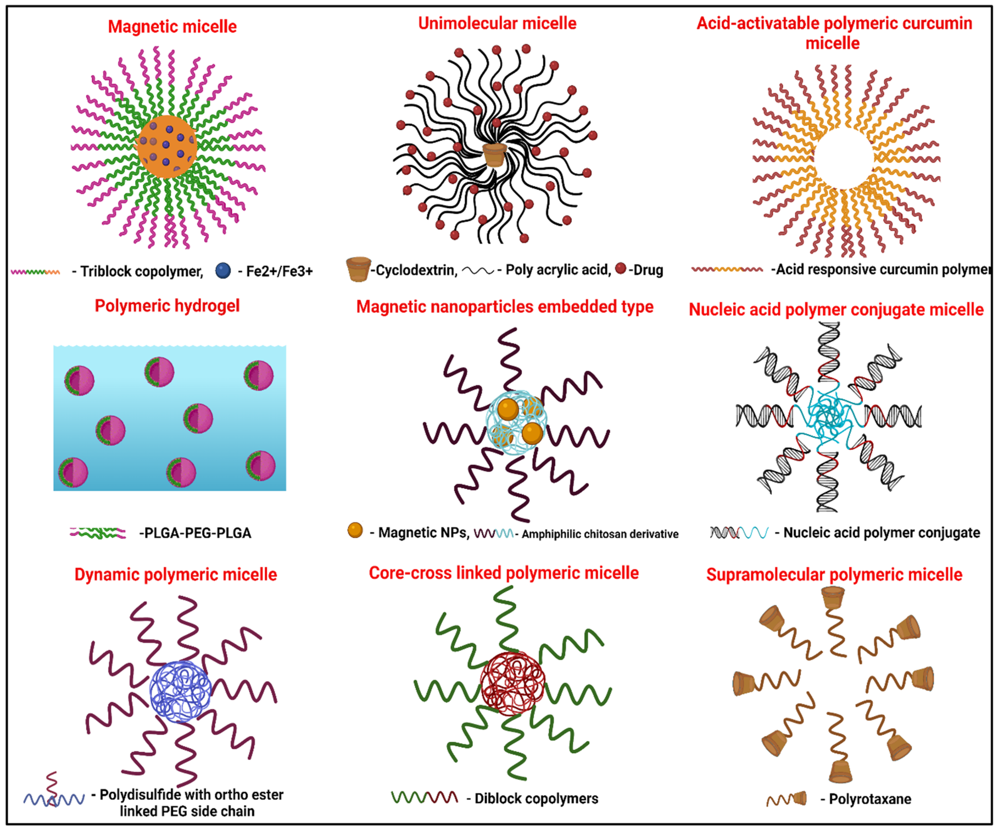 Pharmaceutics 14 01636 g011