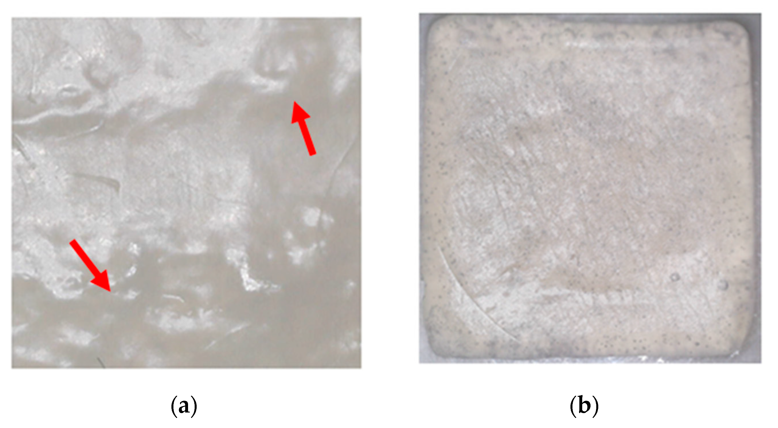 Pharmaceutics 14 01637 g004 550