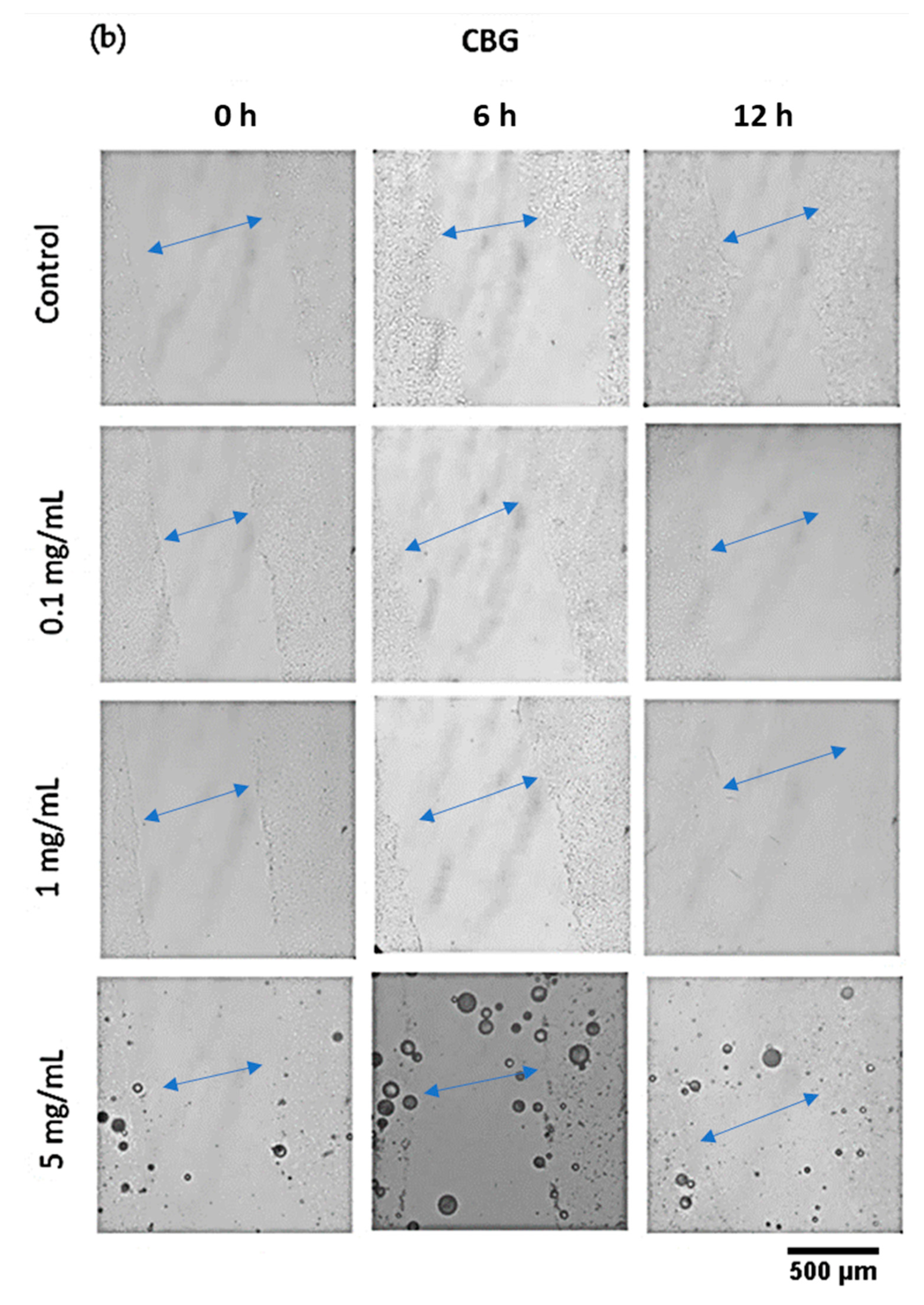 Pharmaceutics 14 01637 g012b 550