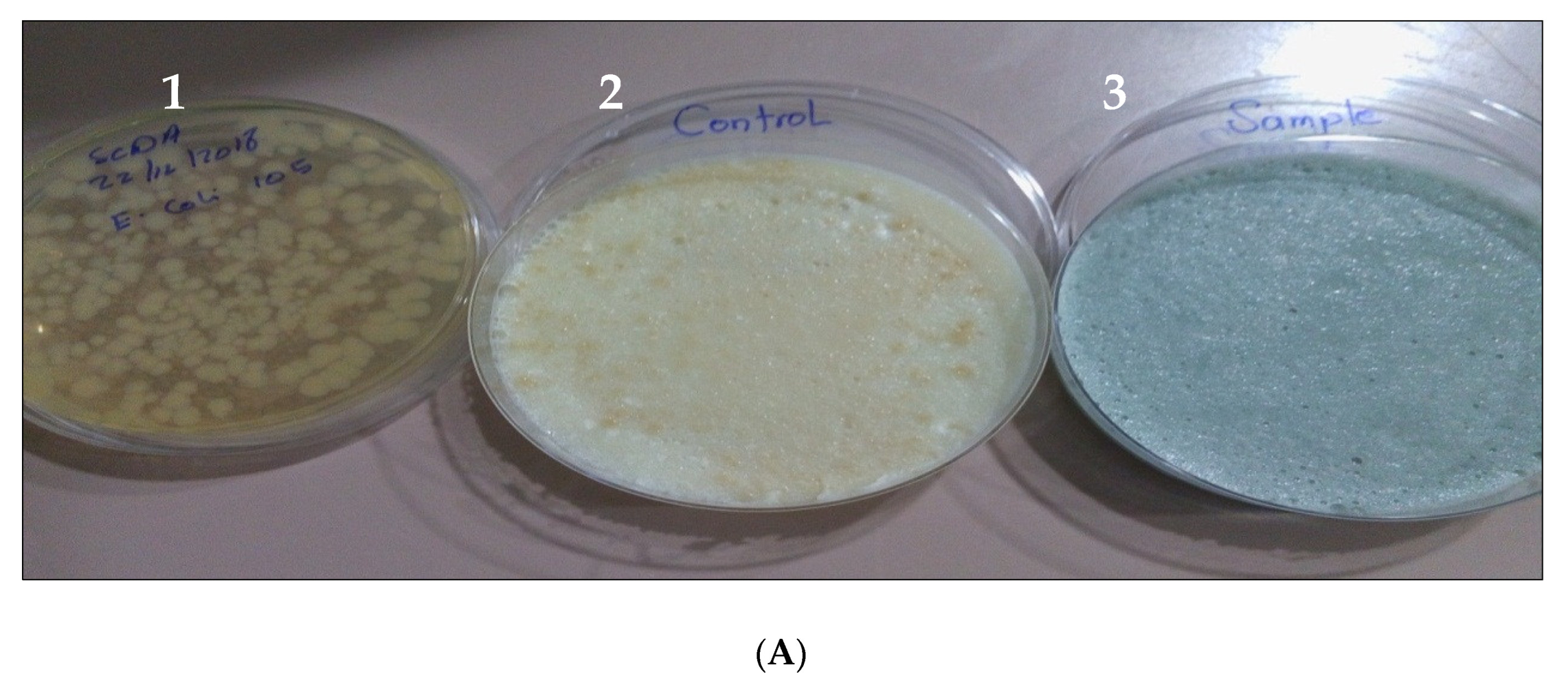 Pharmaceutics 14 01638 g003a 550