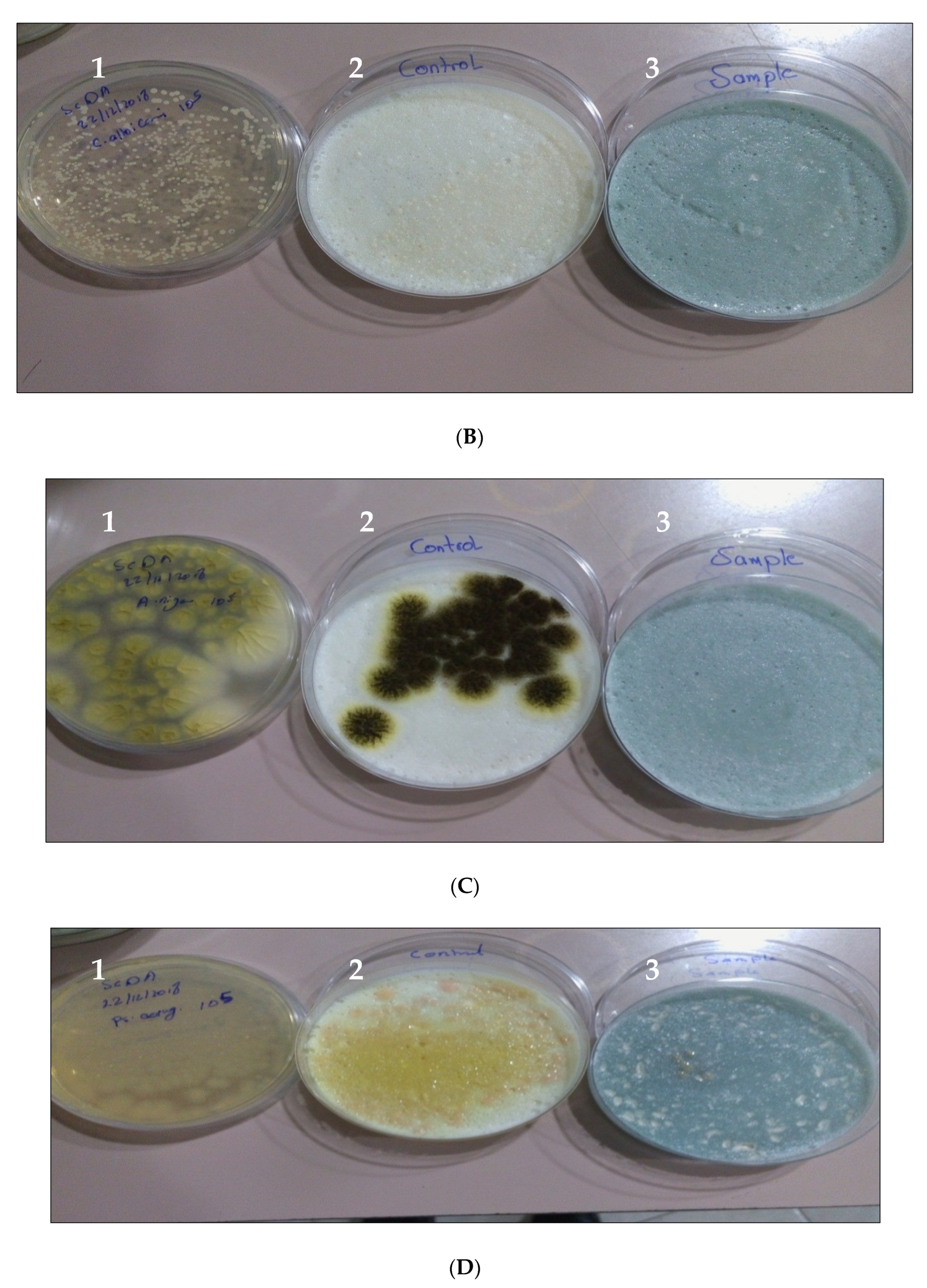 Pharmaceutics 14 01638 g003b 550