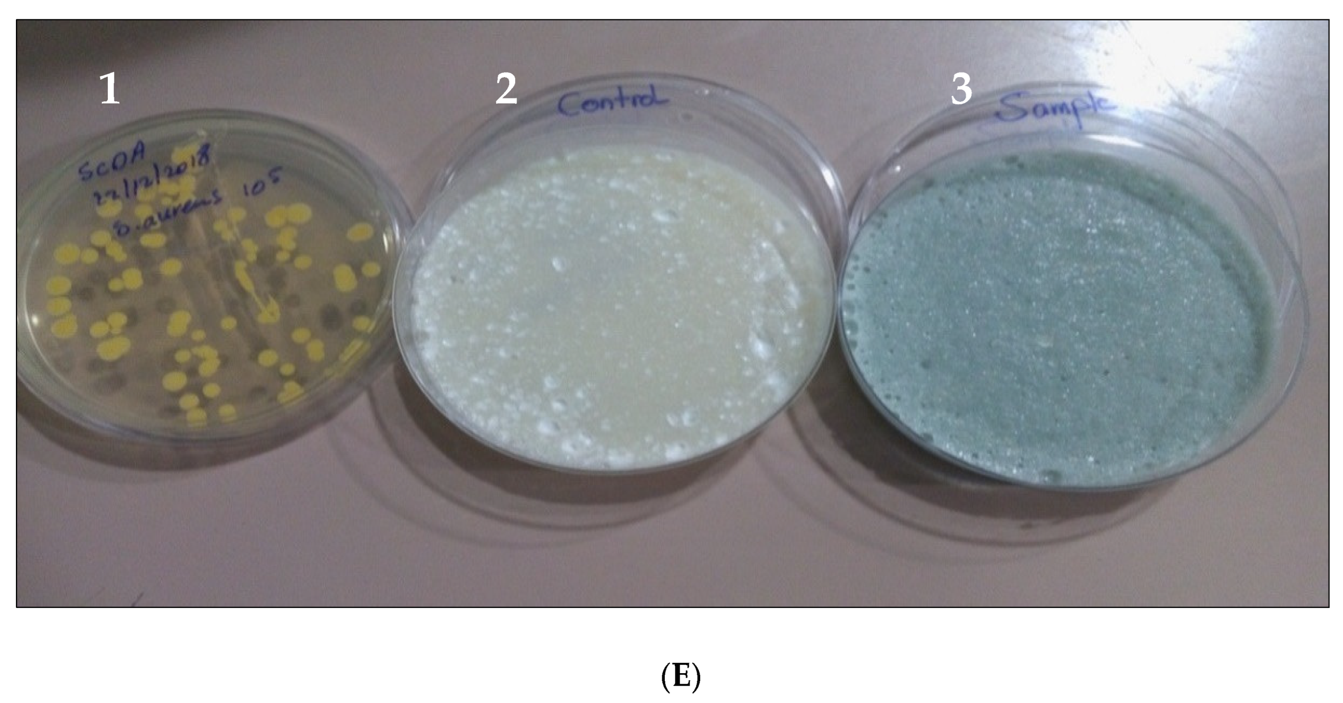 Pharmaceutics 14 01638 g003c 550