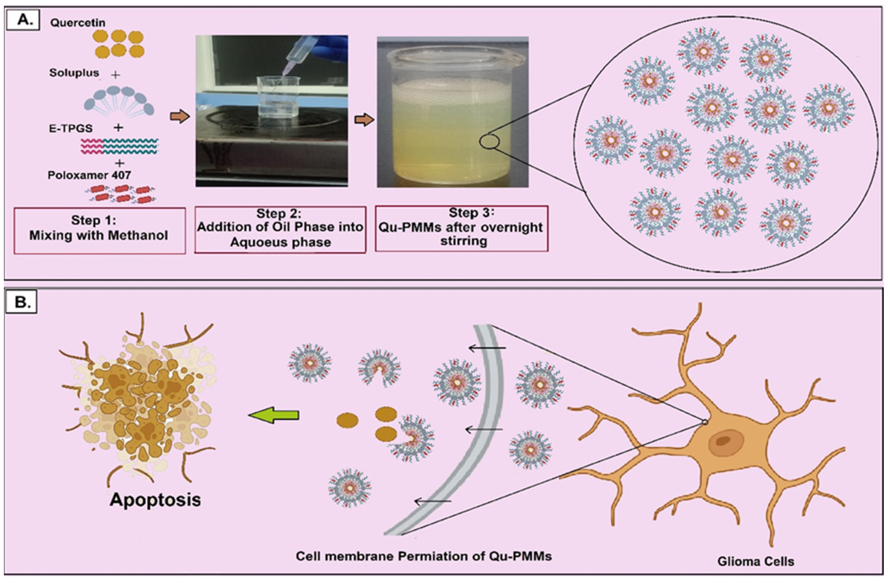 Pharmaceutics 14 01643 g001