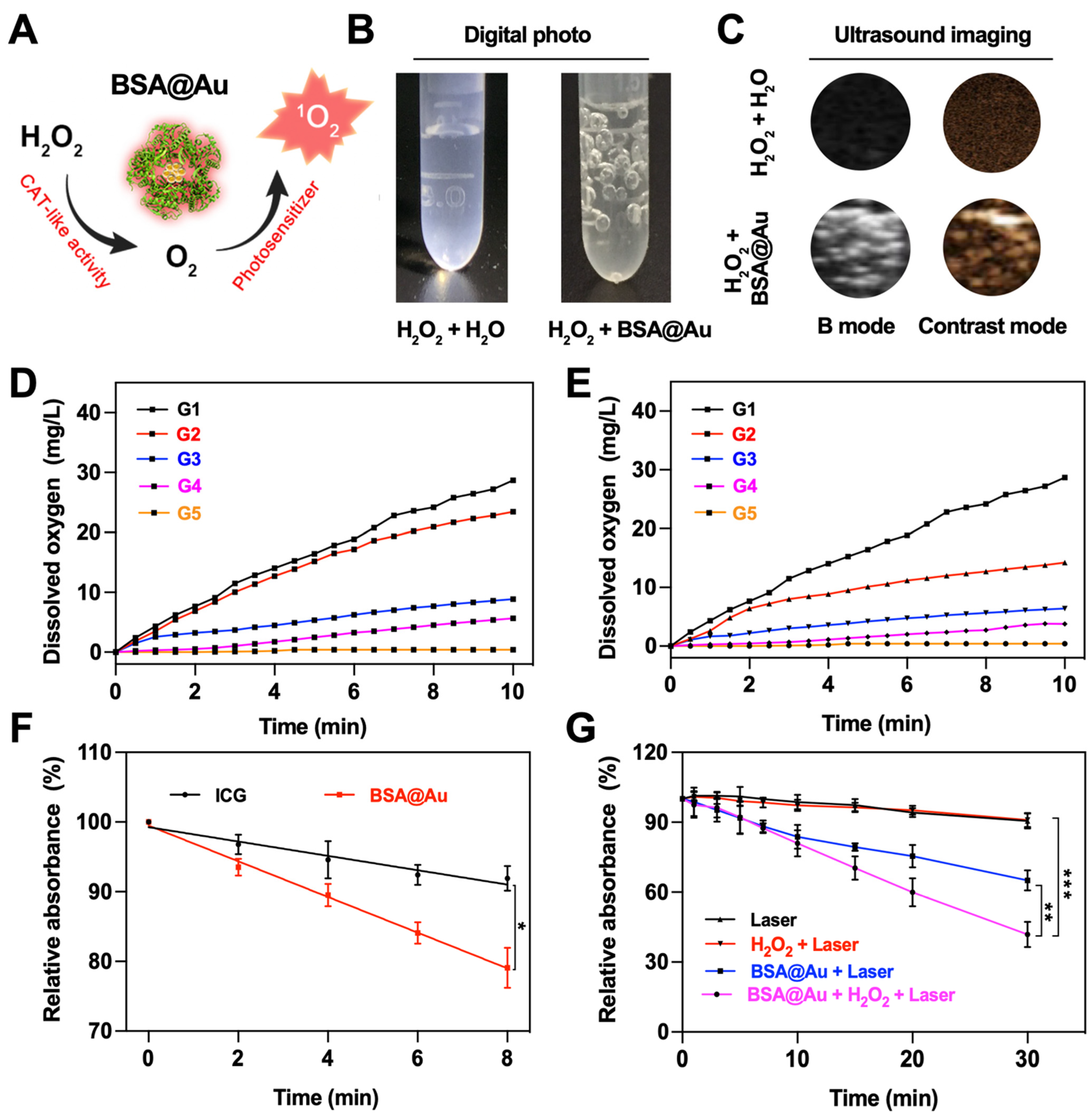 Pharmaceutics 14 01645 g002 550