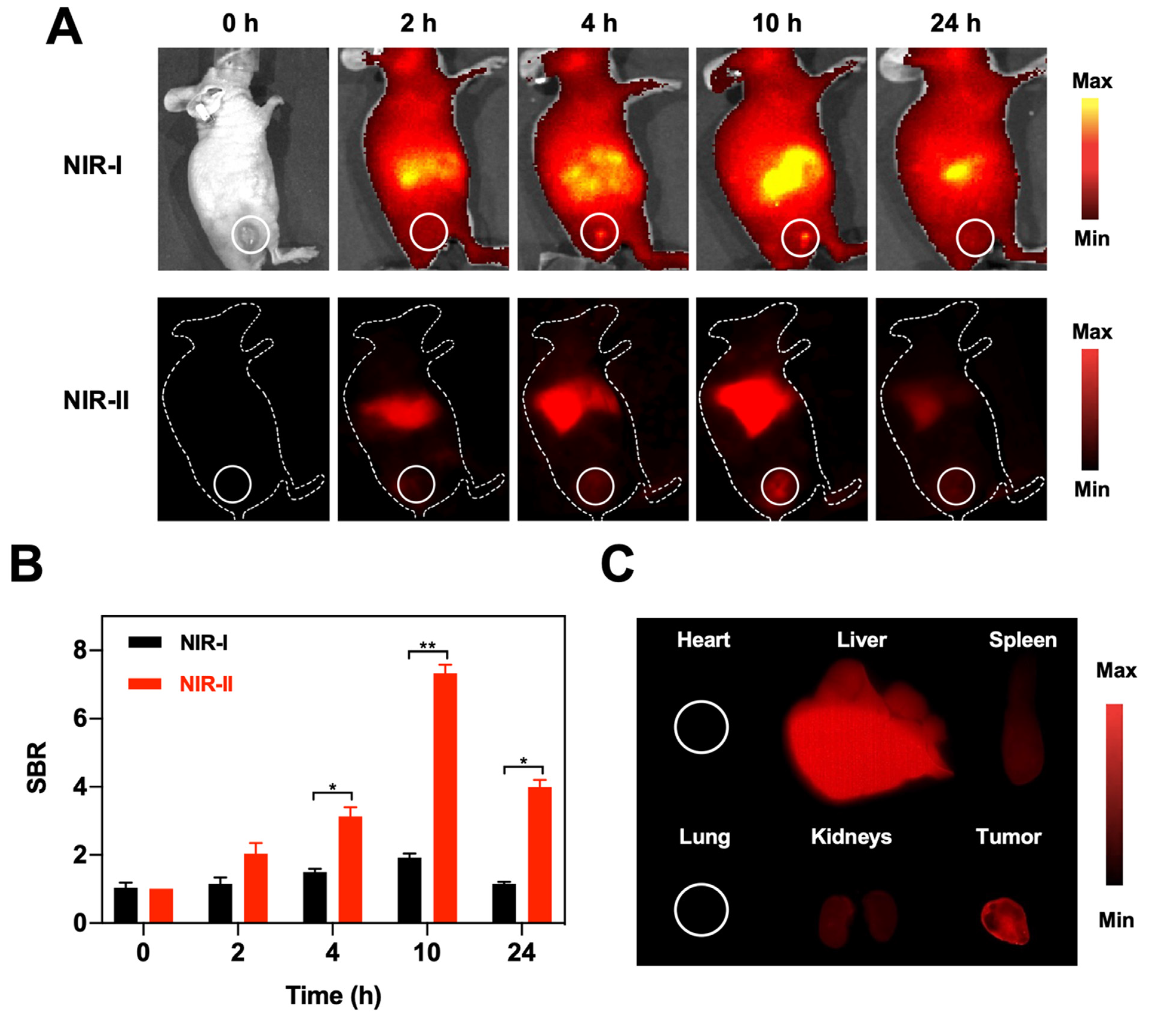 Pharmaceutics 14 01645 g004 550