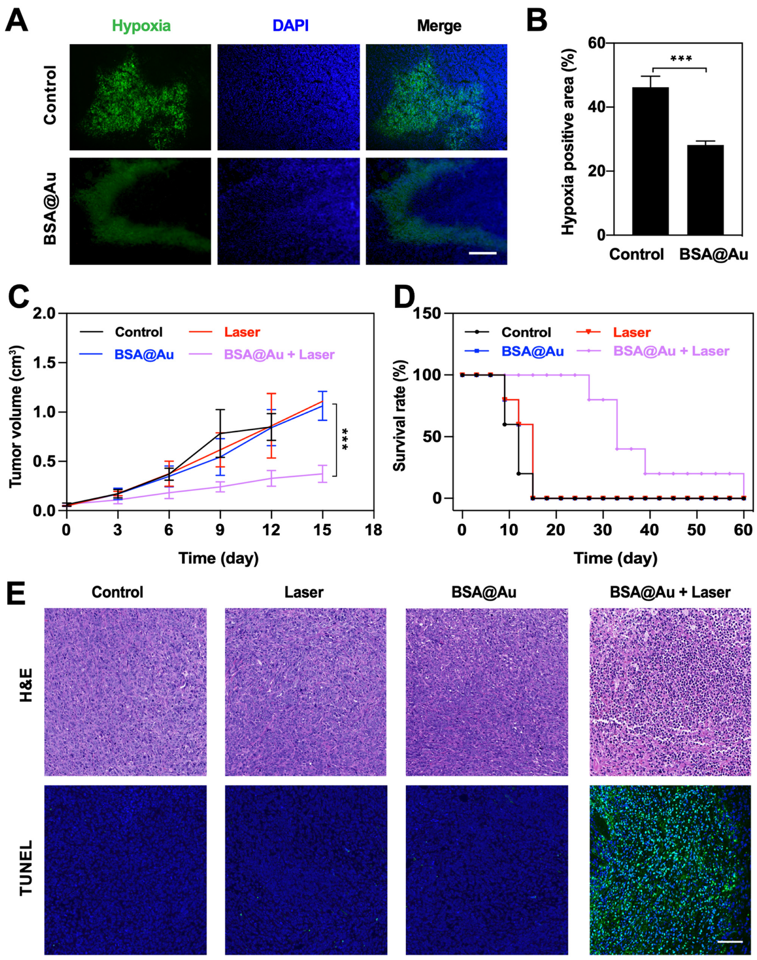 Pharmaceutics 14 01645 g005 550