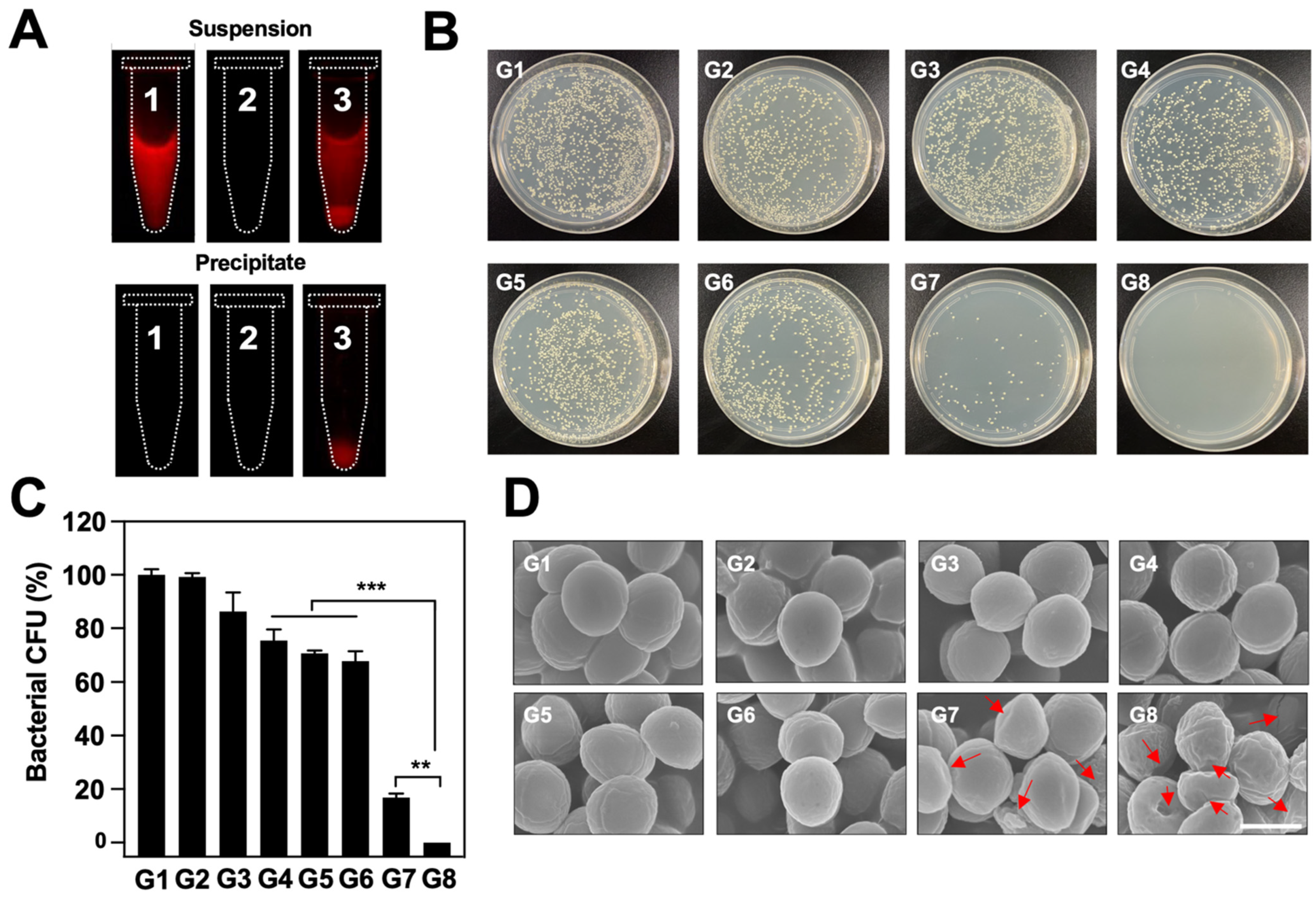 Pharmaceutics 14 01645 g006 550