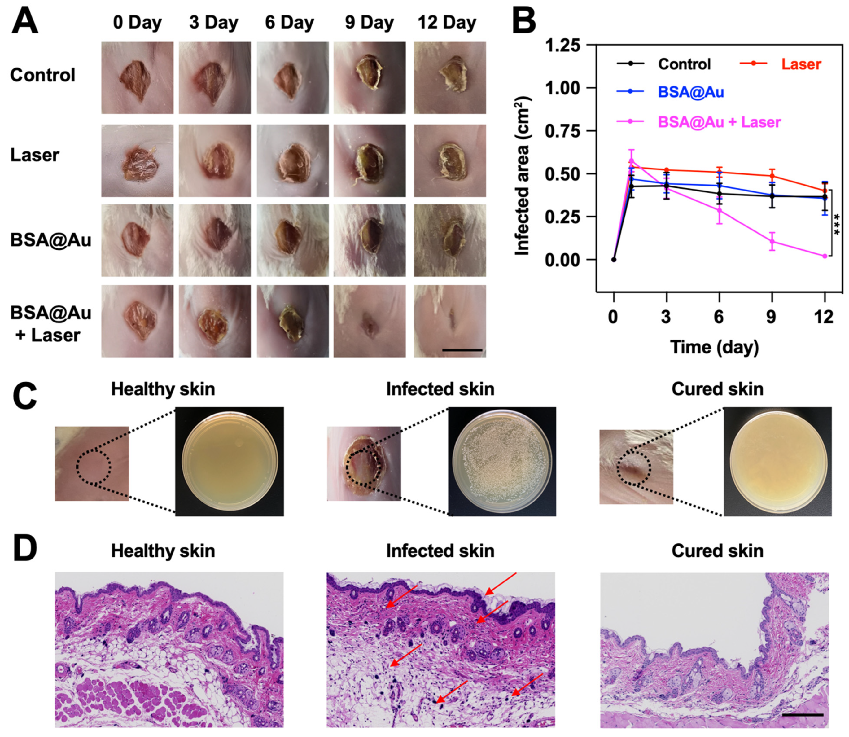 Pharmaceutics 14 01645 g007 550