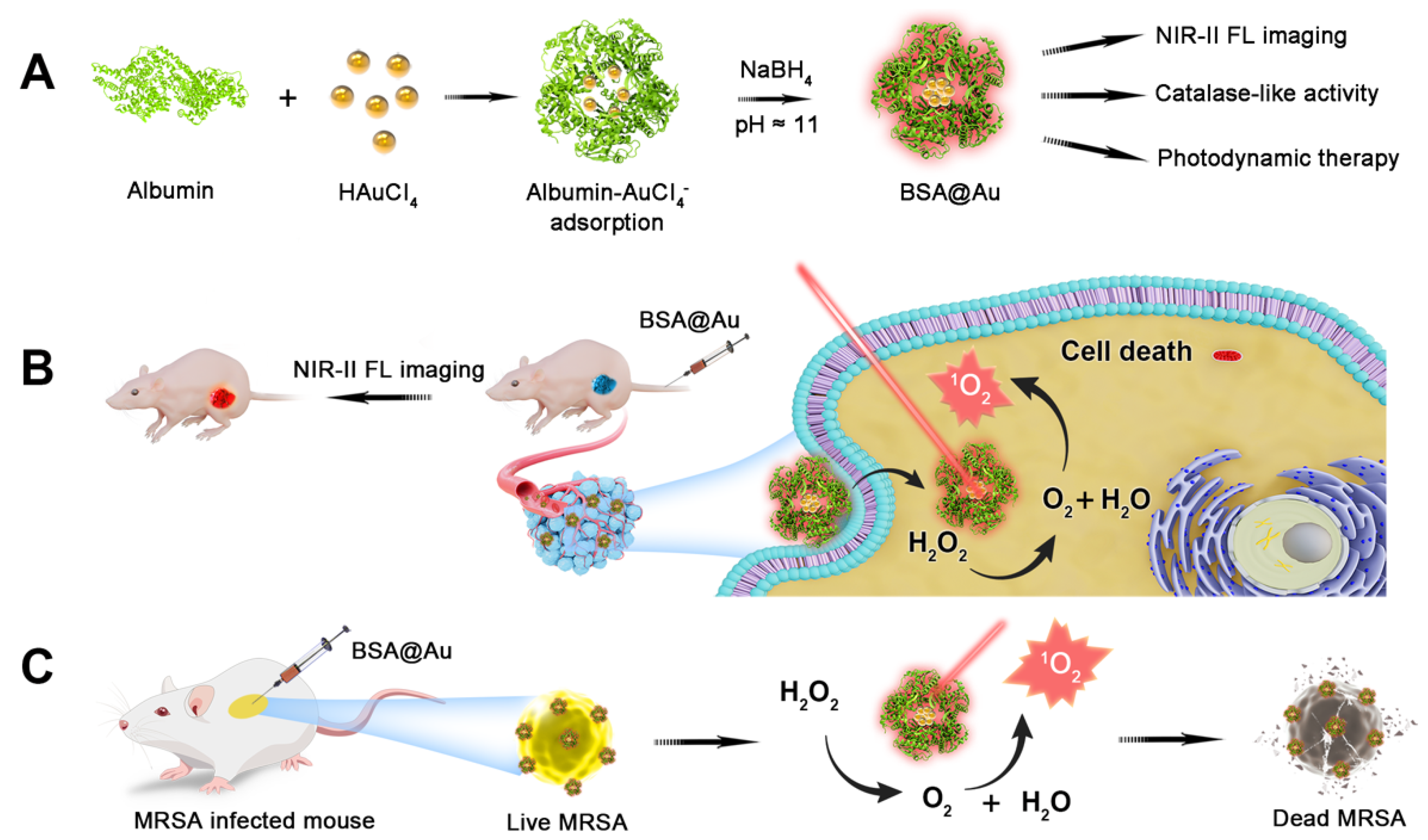 Pharmaceutics 14 01645 sch001 550