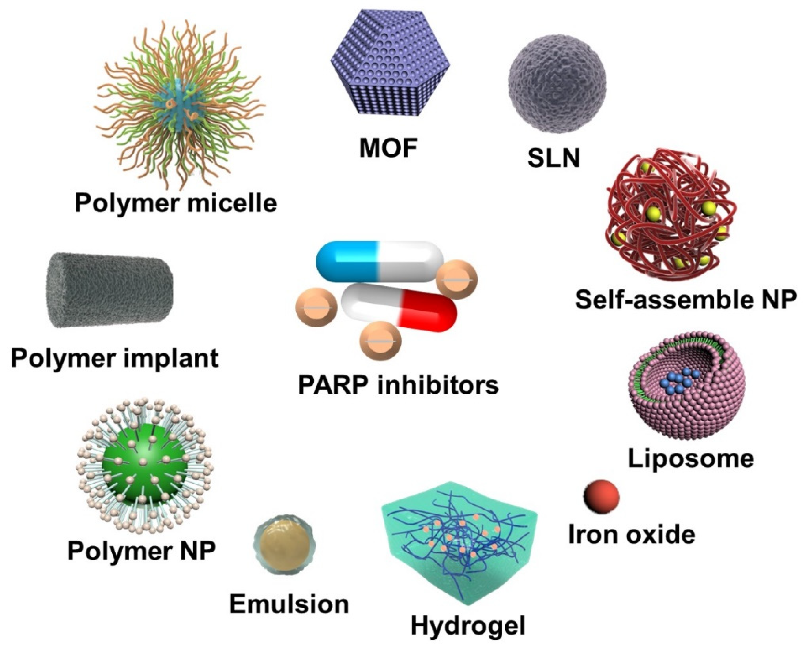 Pharmaceutics 14 01647 g001