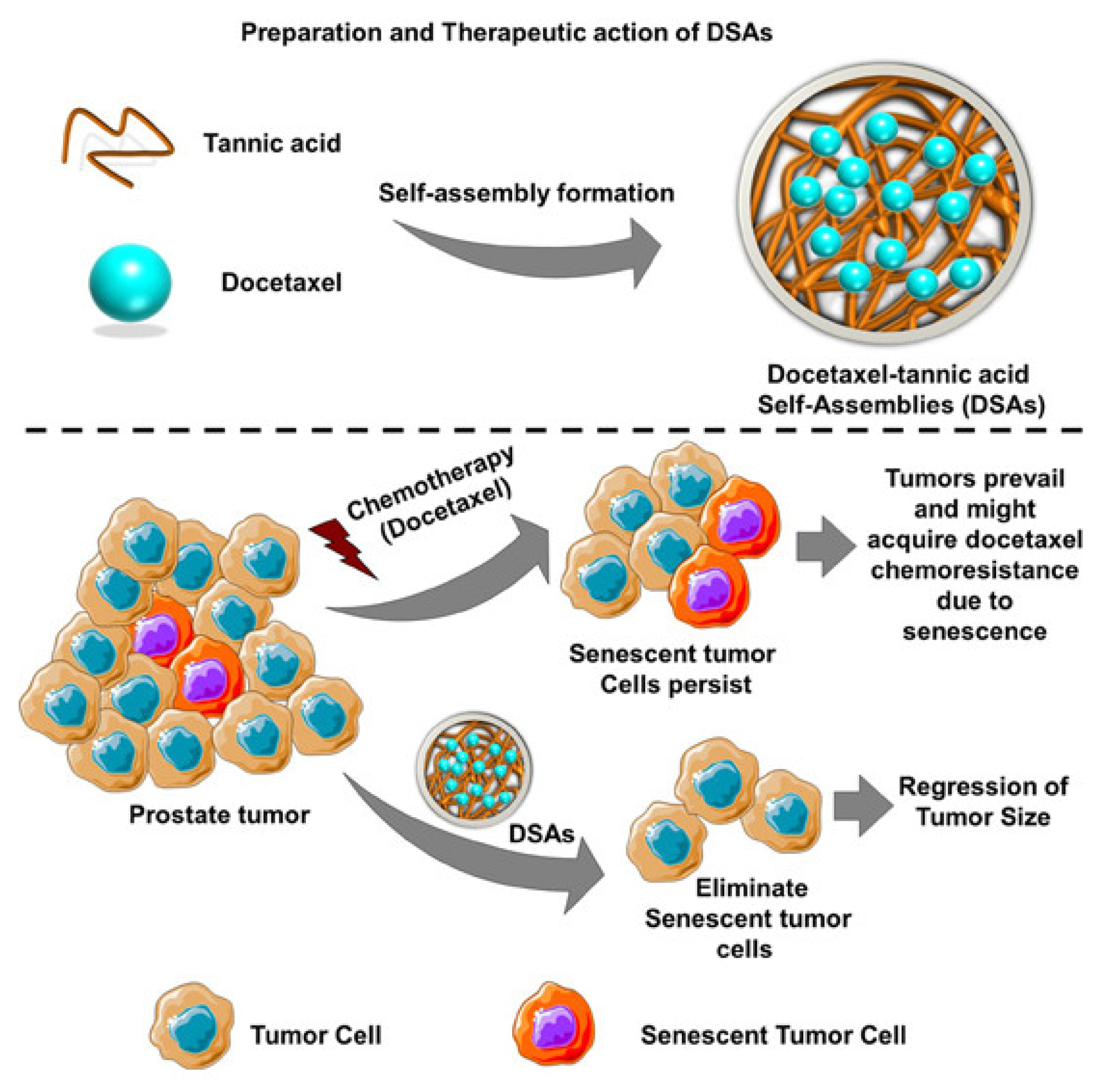 Pharmaceutics 14 01647 g003