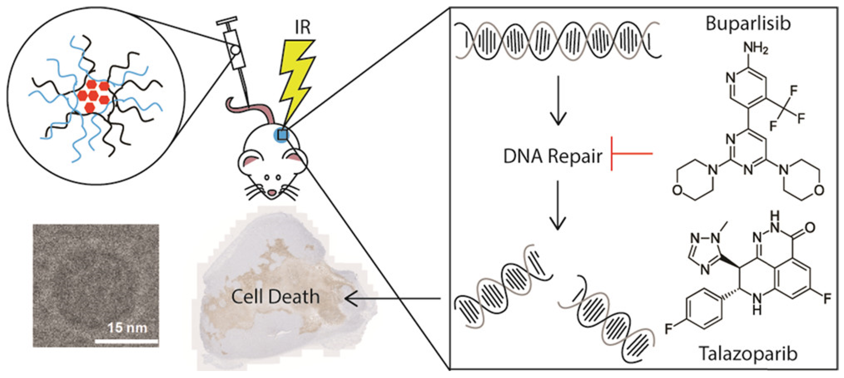 Pharmaceutics 14 01647 g005