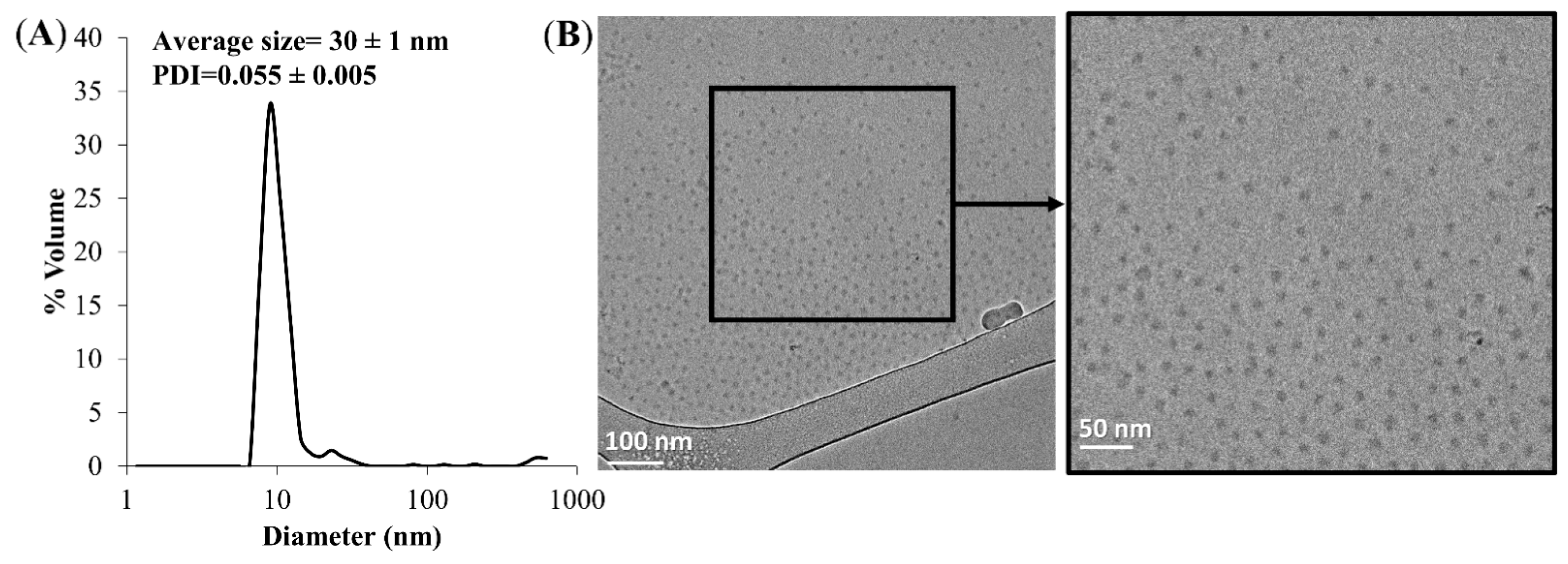 Pharmaceutics 14 01650 g002 Pharmaceutics 14 01650 g002