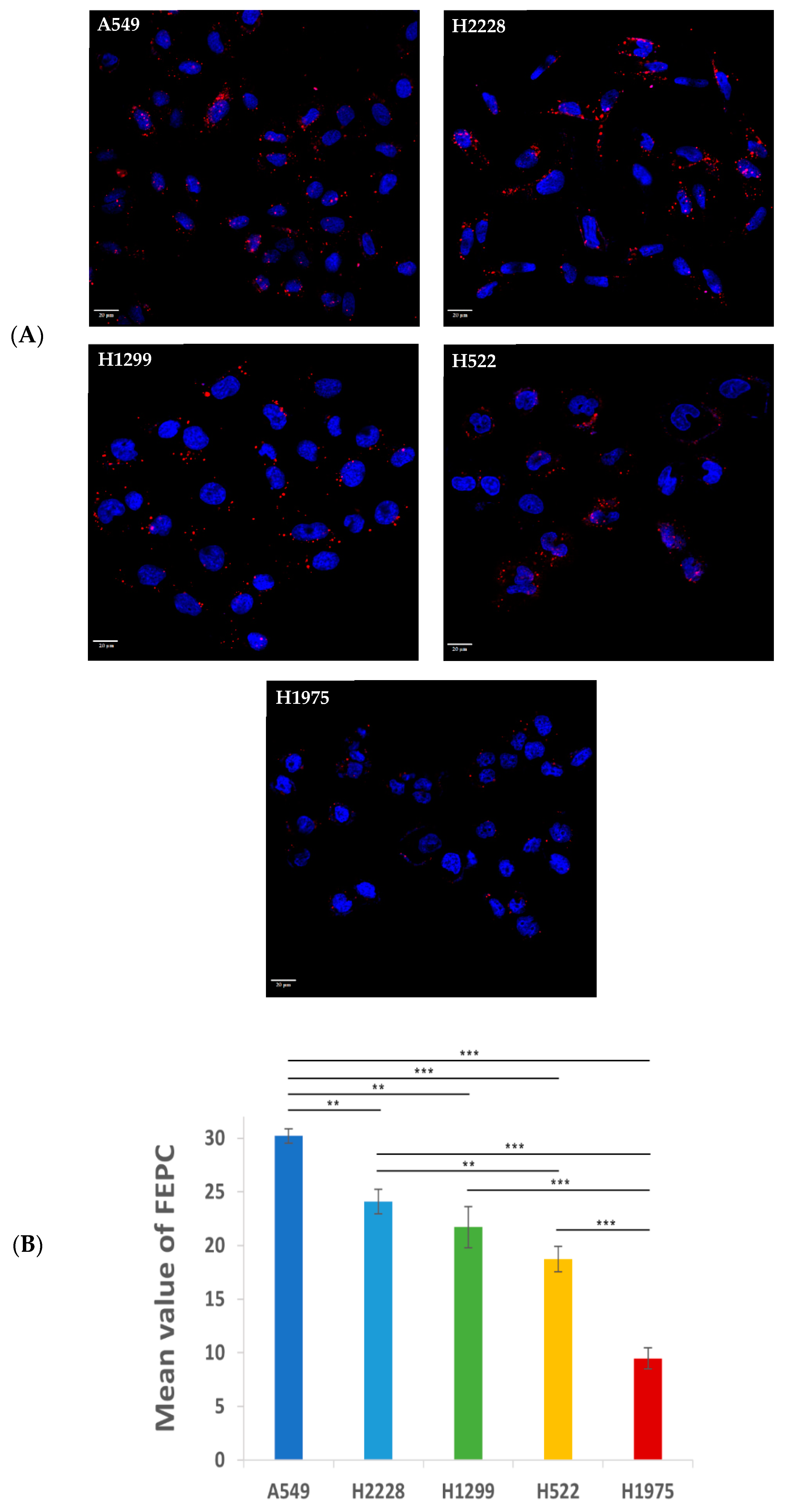 Pharmaceutics 14 01650 g003 Pharmaceutics 14 01650 g003