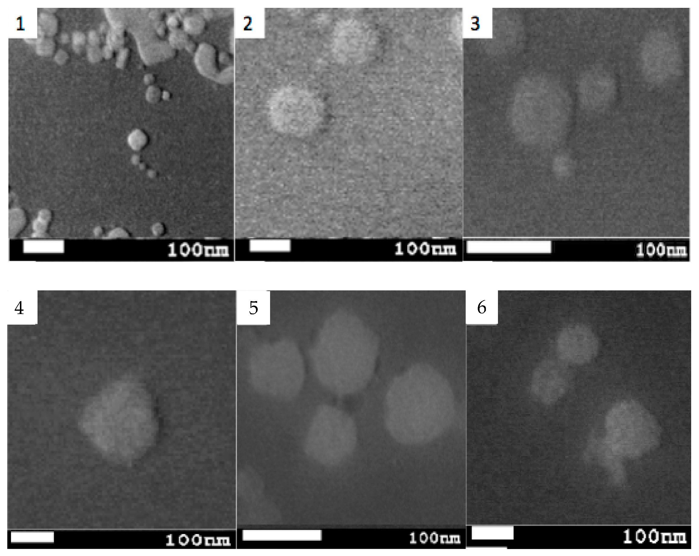 Pharmaceutics 14 01651 g004 550