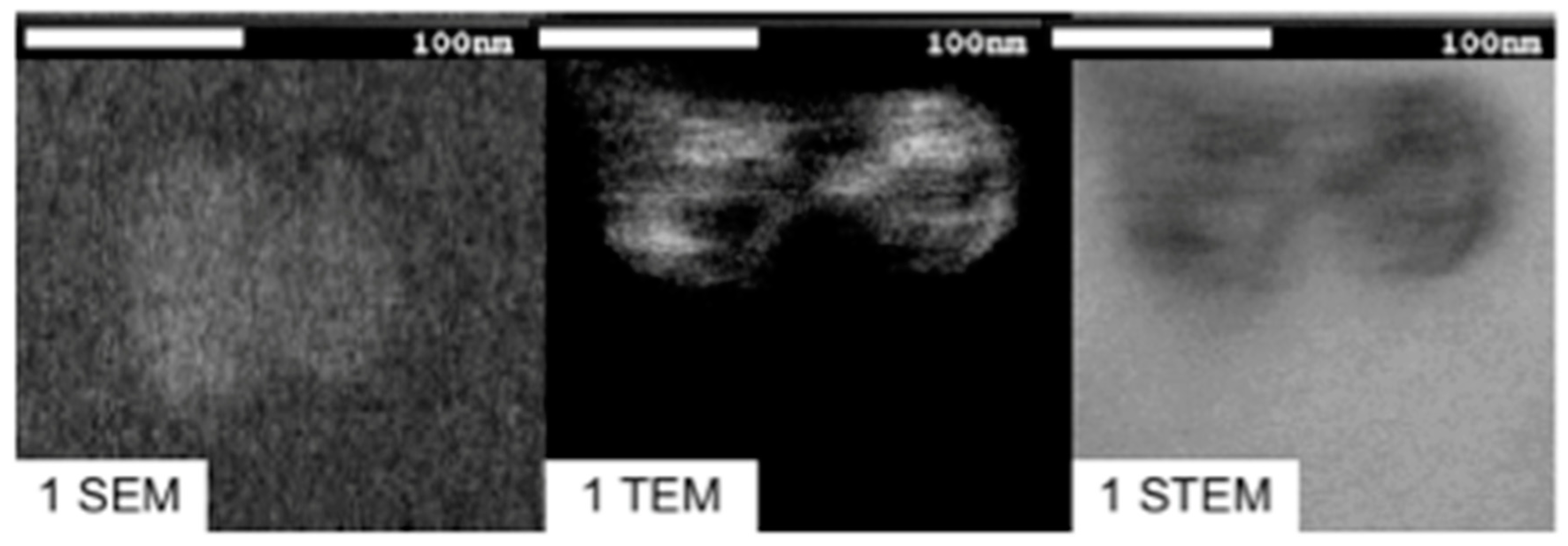 Pharmaceutics 14 01651 g005 550