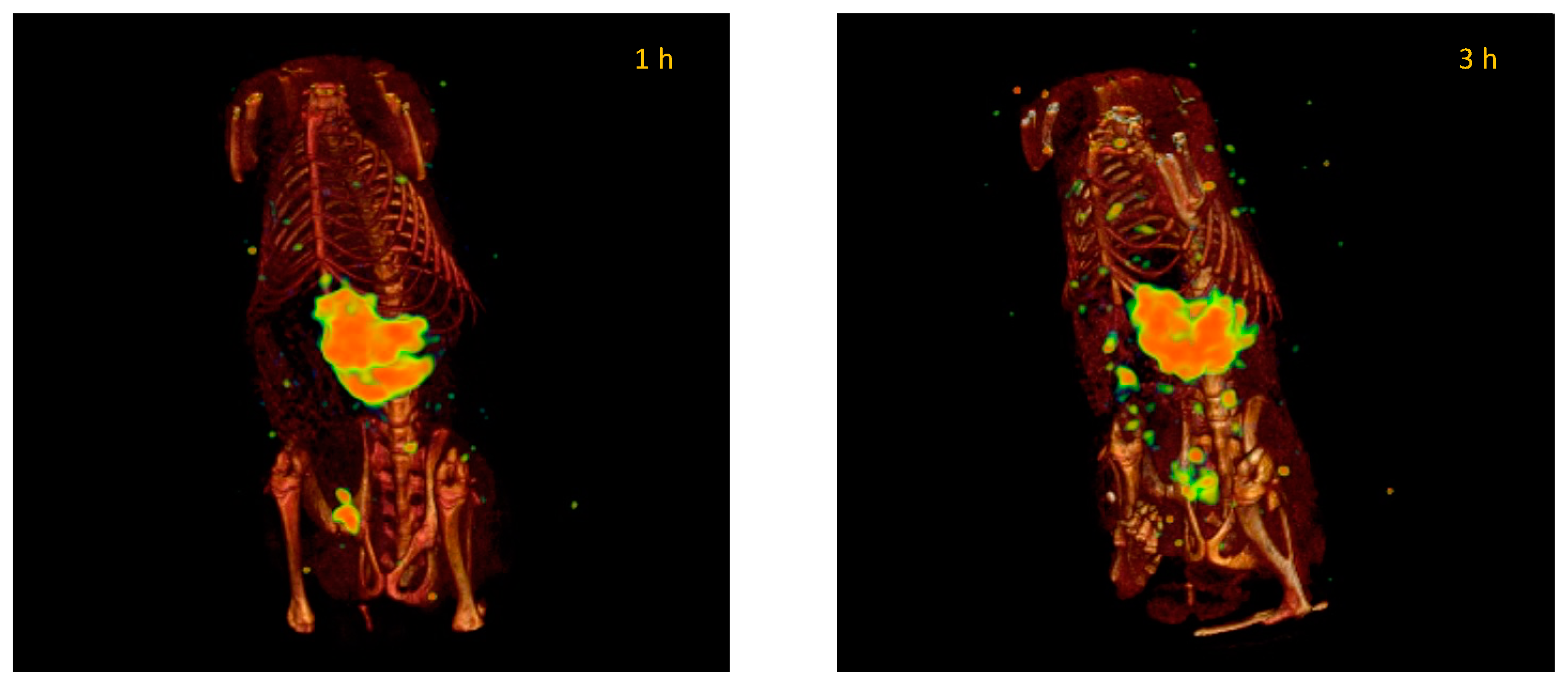 Pharmaceutics 14 01651 g009 550