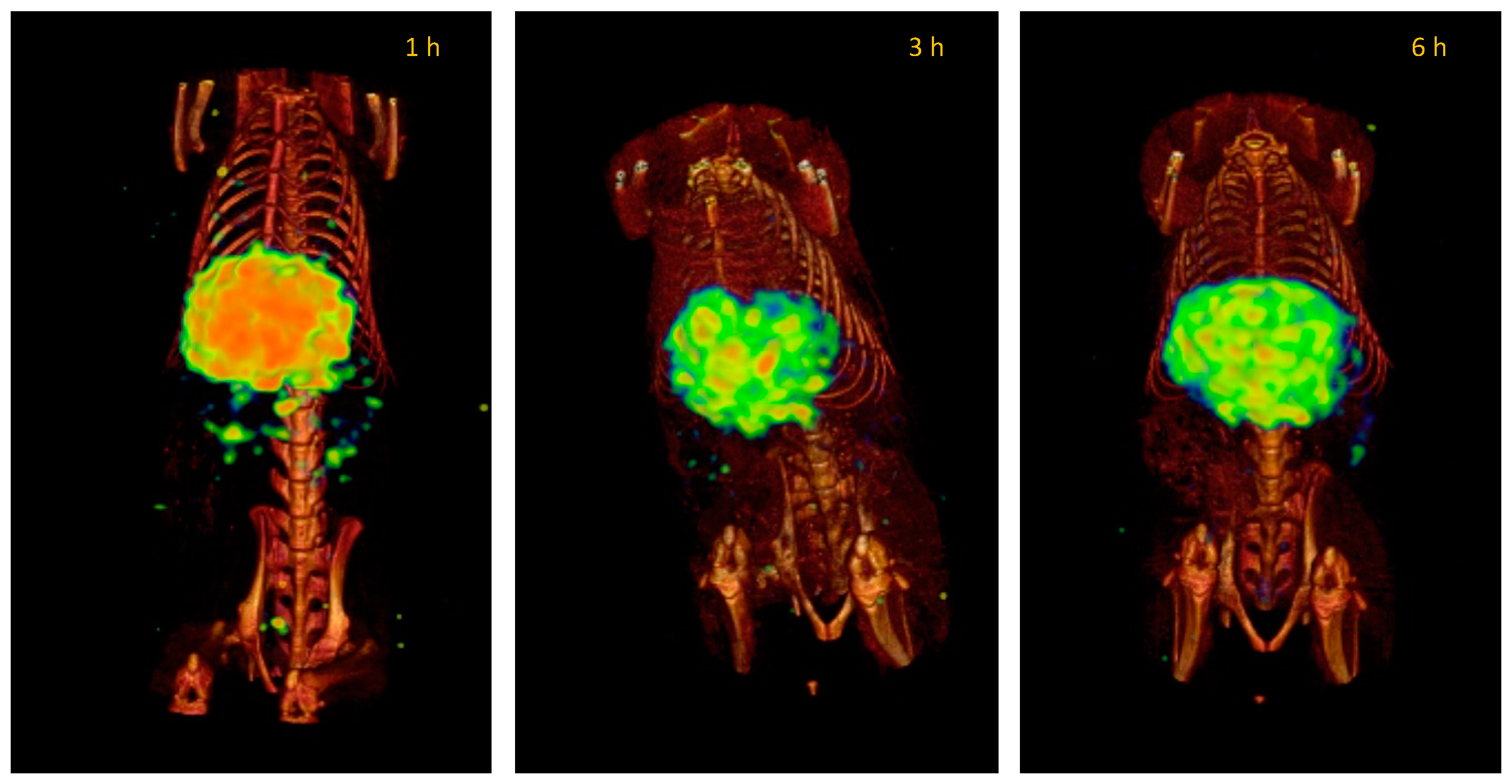 Pharmaceutics 14 01651 g010 550