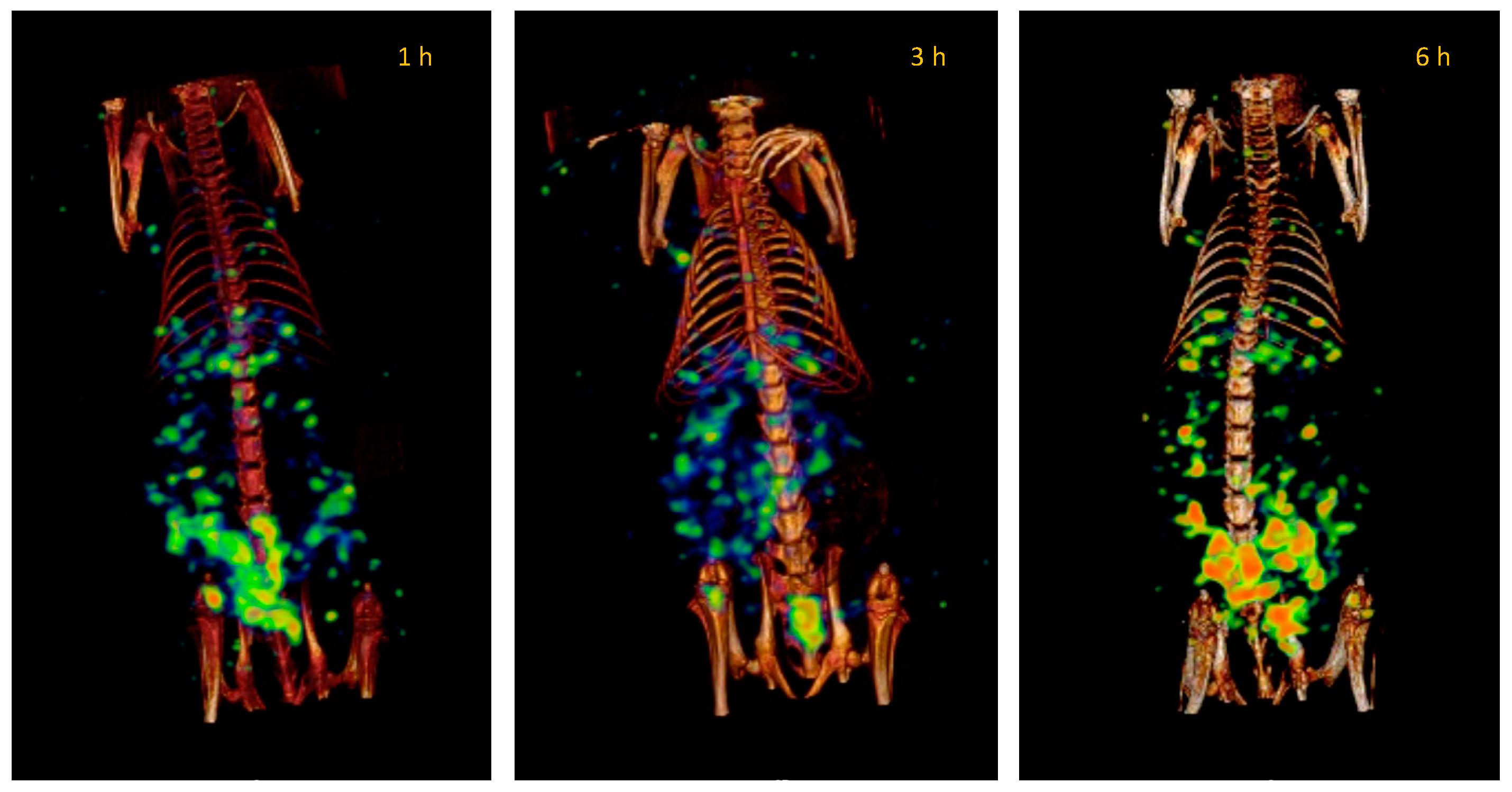 Pharmaceutics 14 01651 g011 550