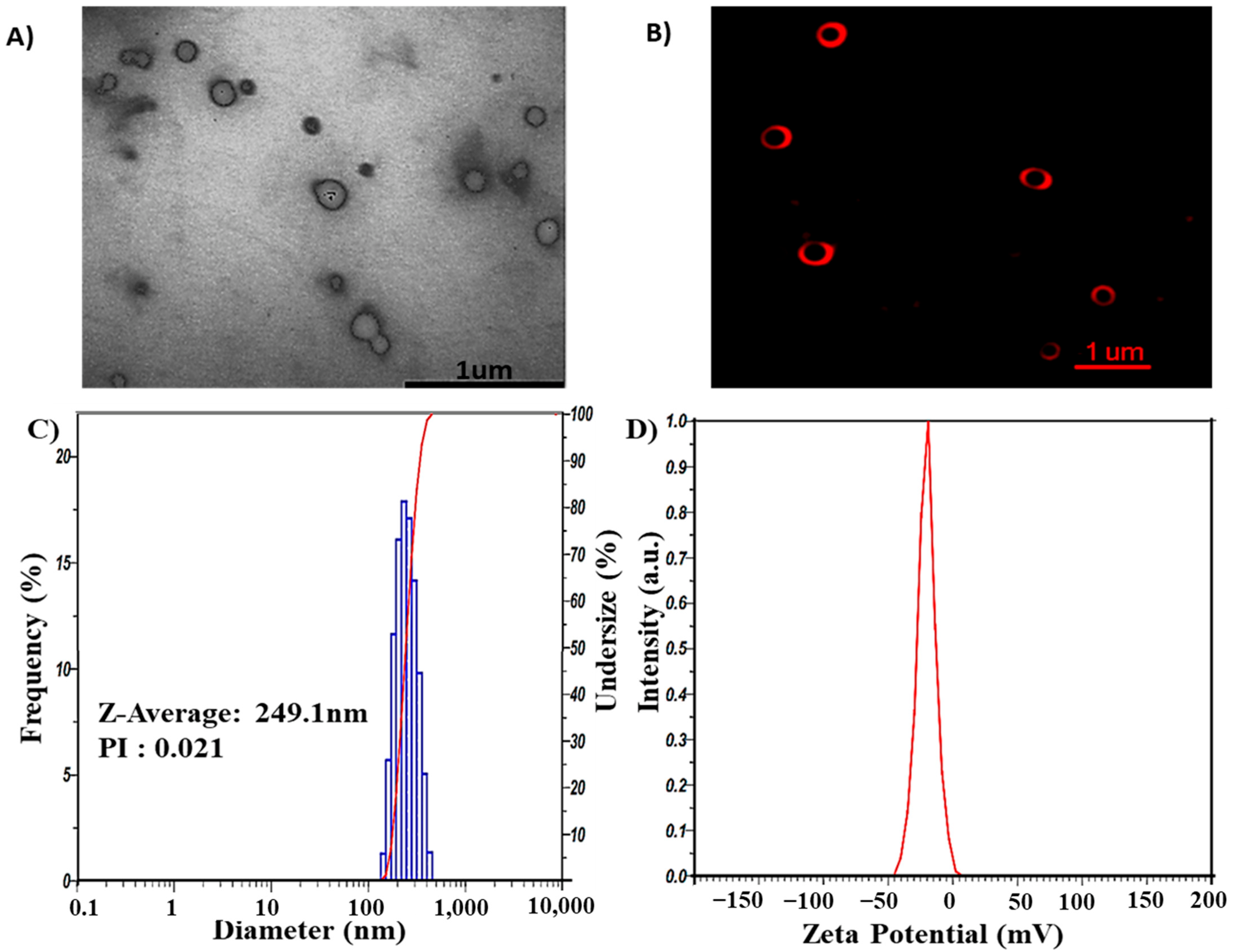 Pharmaceutics 14 01654 g002