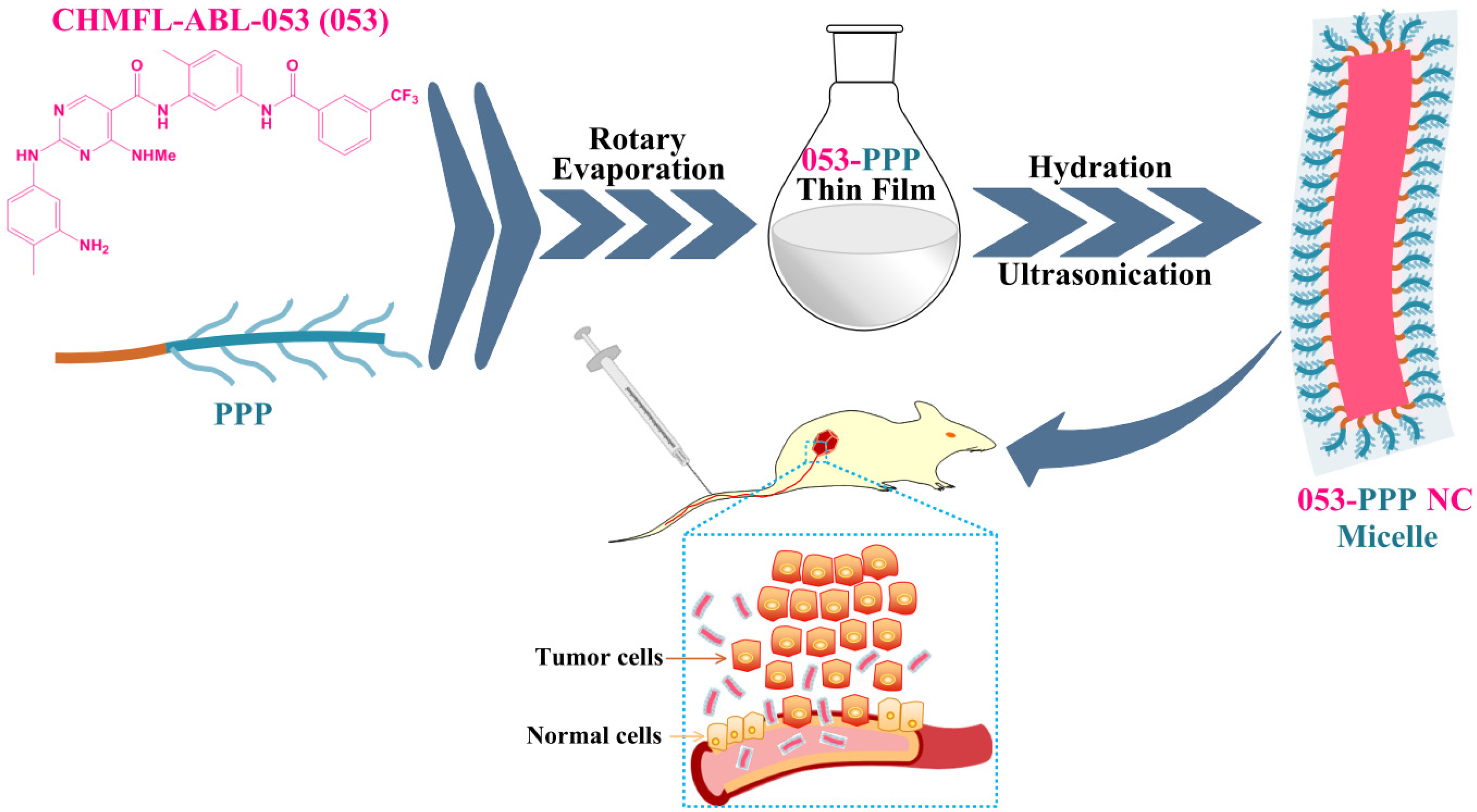Pharmaceutics 14 01662 g001