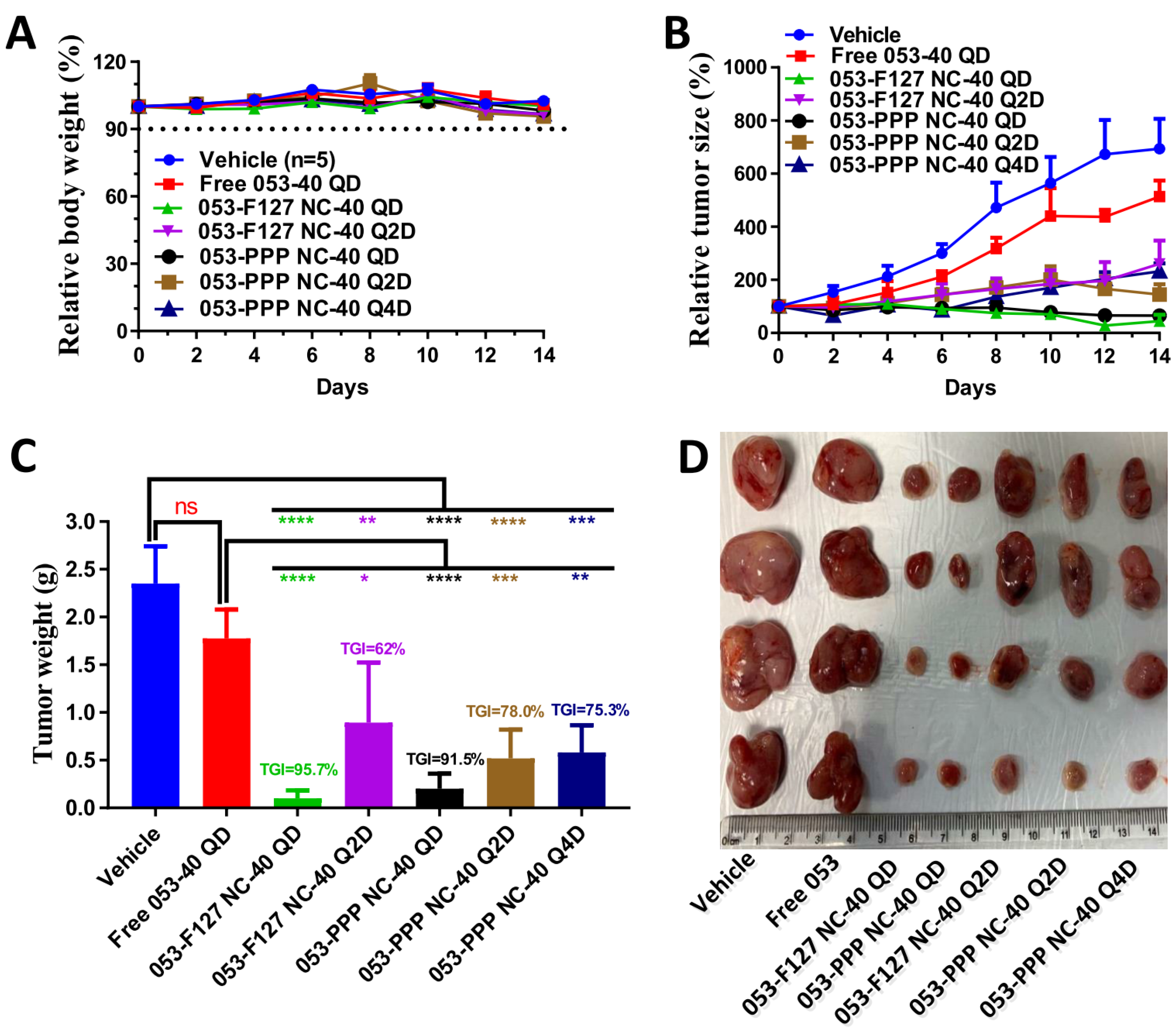 Pharmaceutics 14 01662 g007