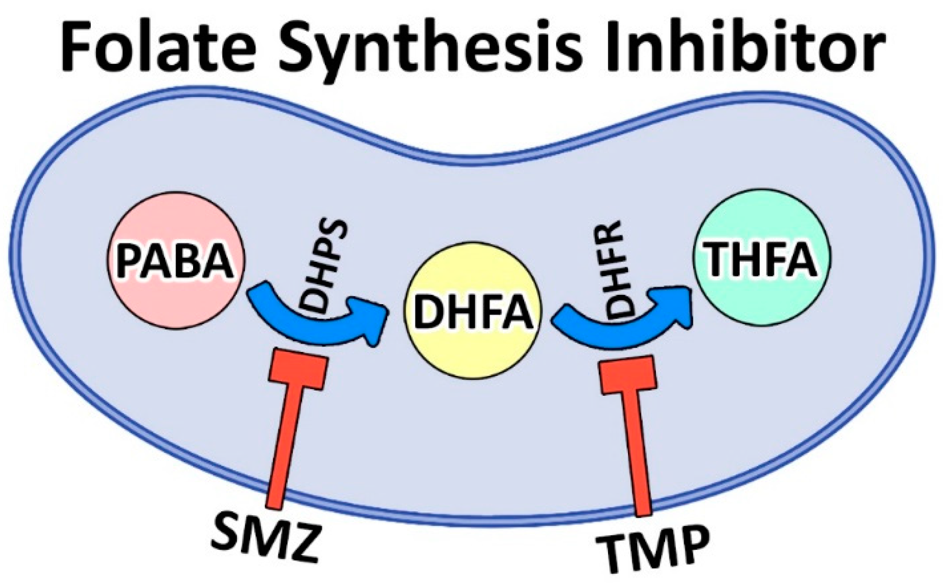 Pharmaceutics 14 01668 g001