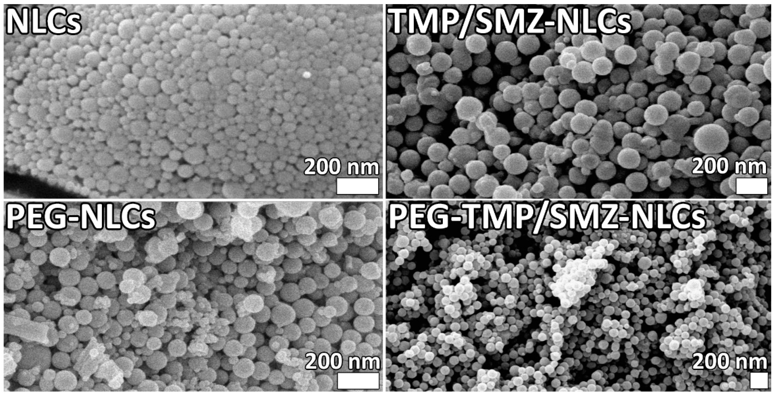Pharmaceutics 14 01668 g002