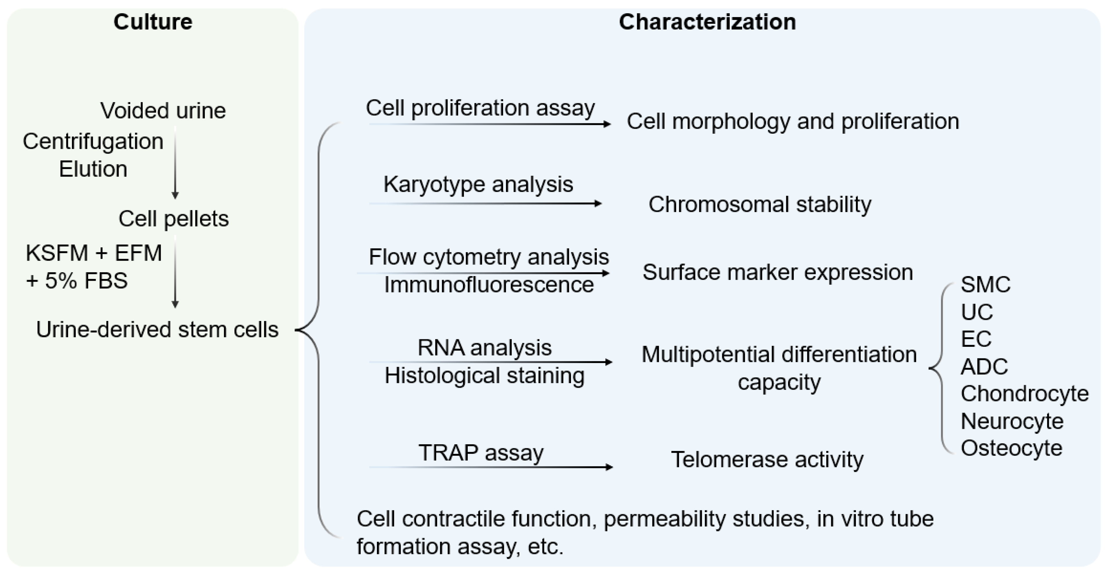 Pharmaceutics 14 01669 g001