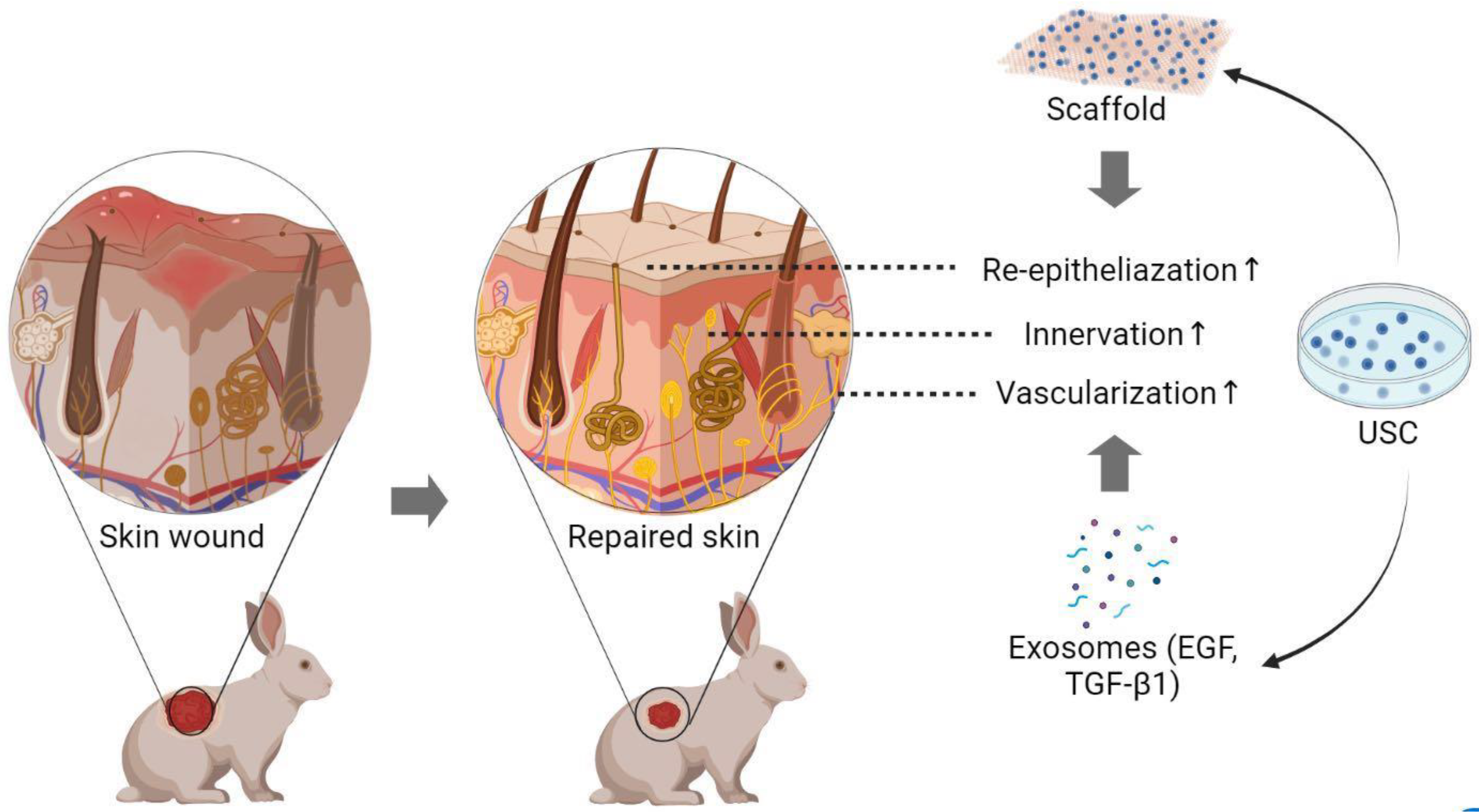 Pharmaceutics 14 01669 g002