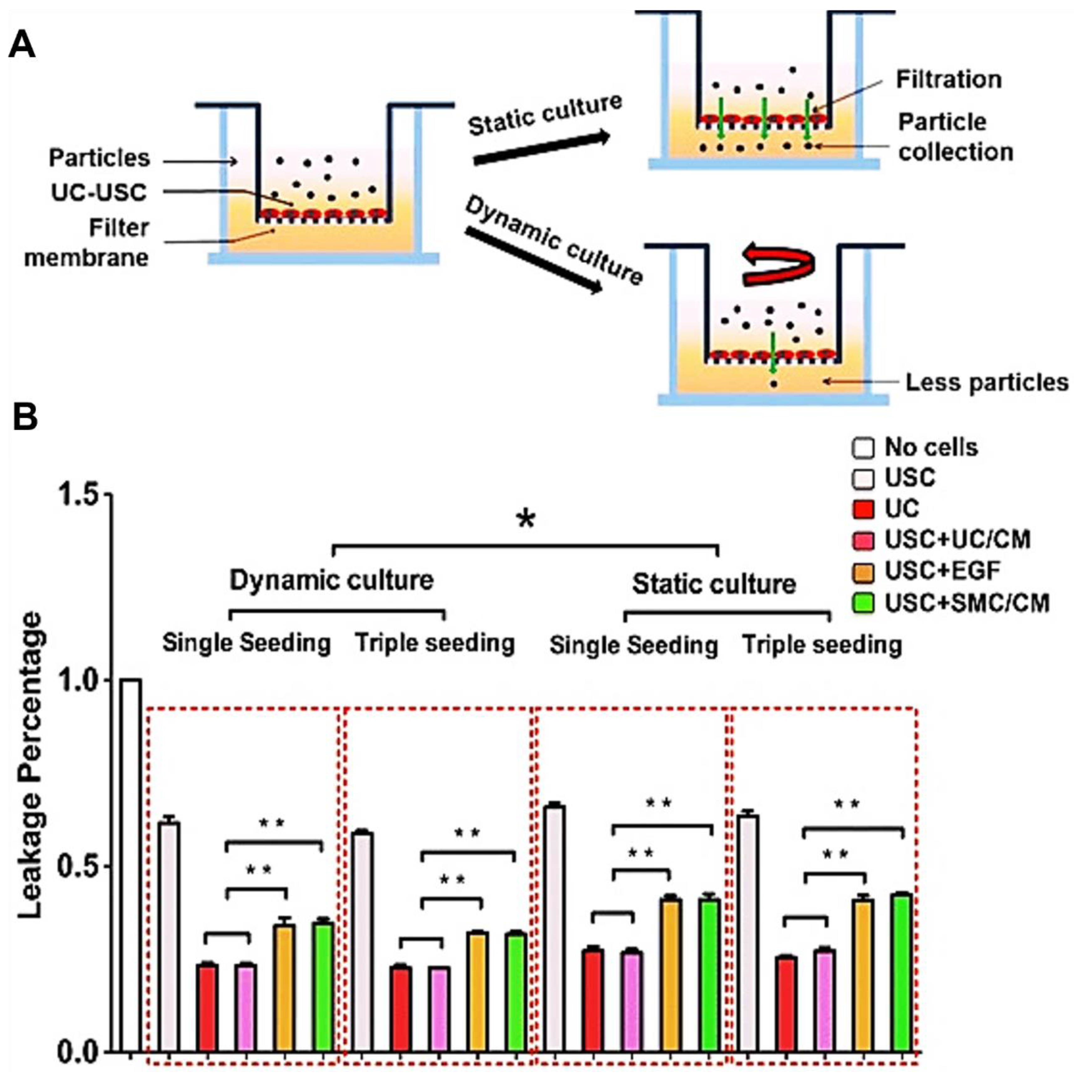 Pharmaceutics 14 01669 g006