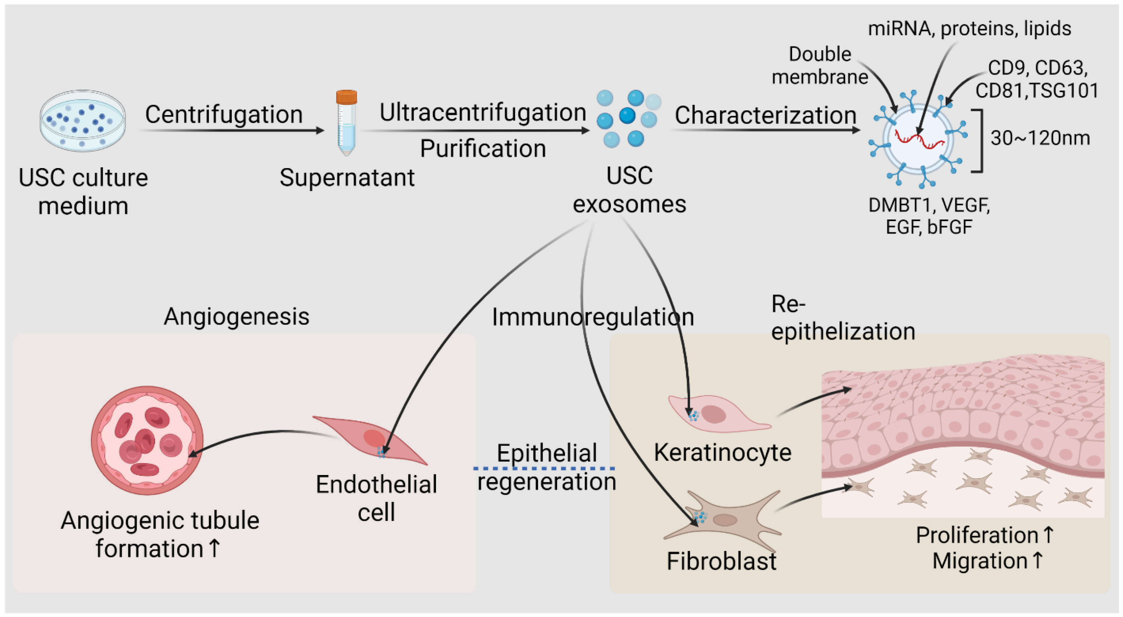 Pharmaceutics 14 01669 g008