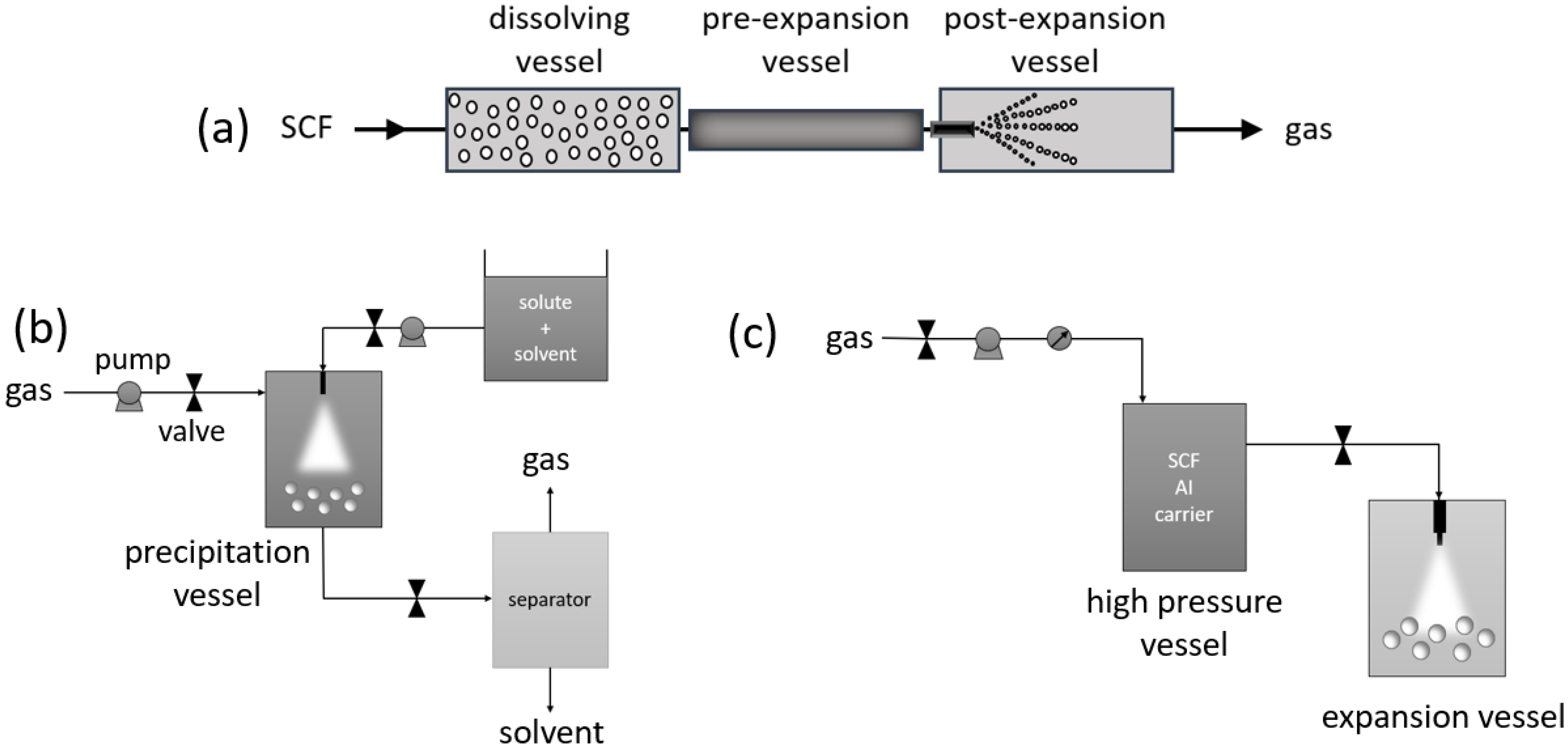 Pharmaceutics 14 01670 g002