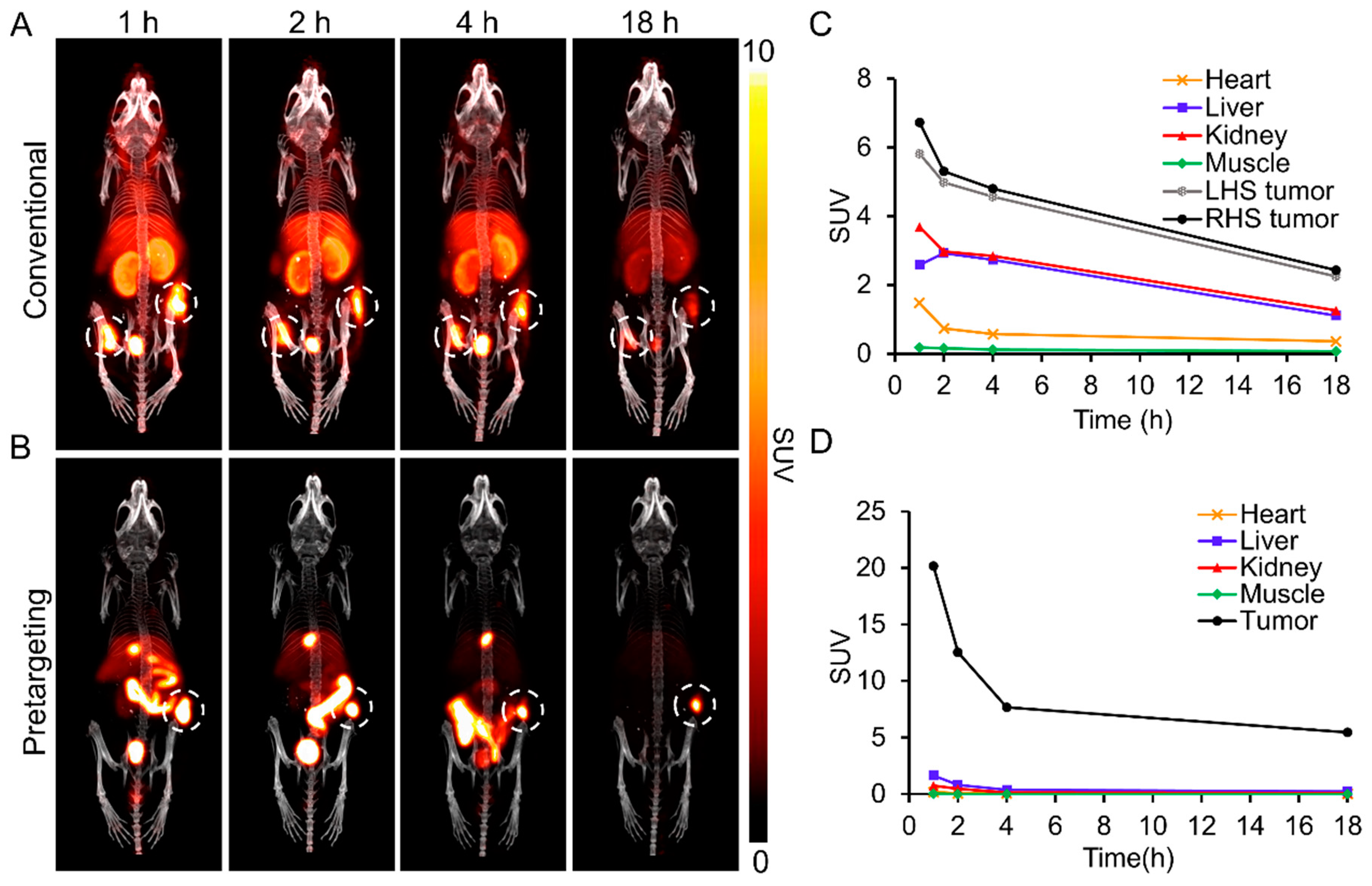 Pharmaceutics 14 01677 g004 550