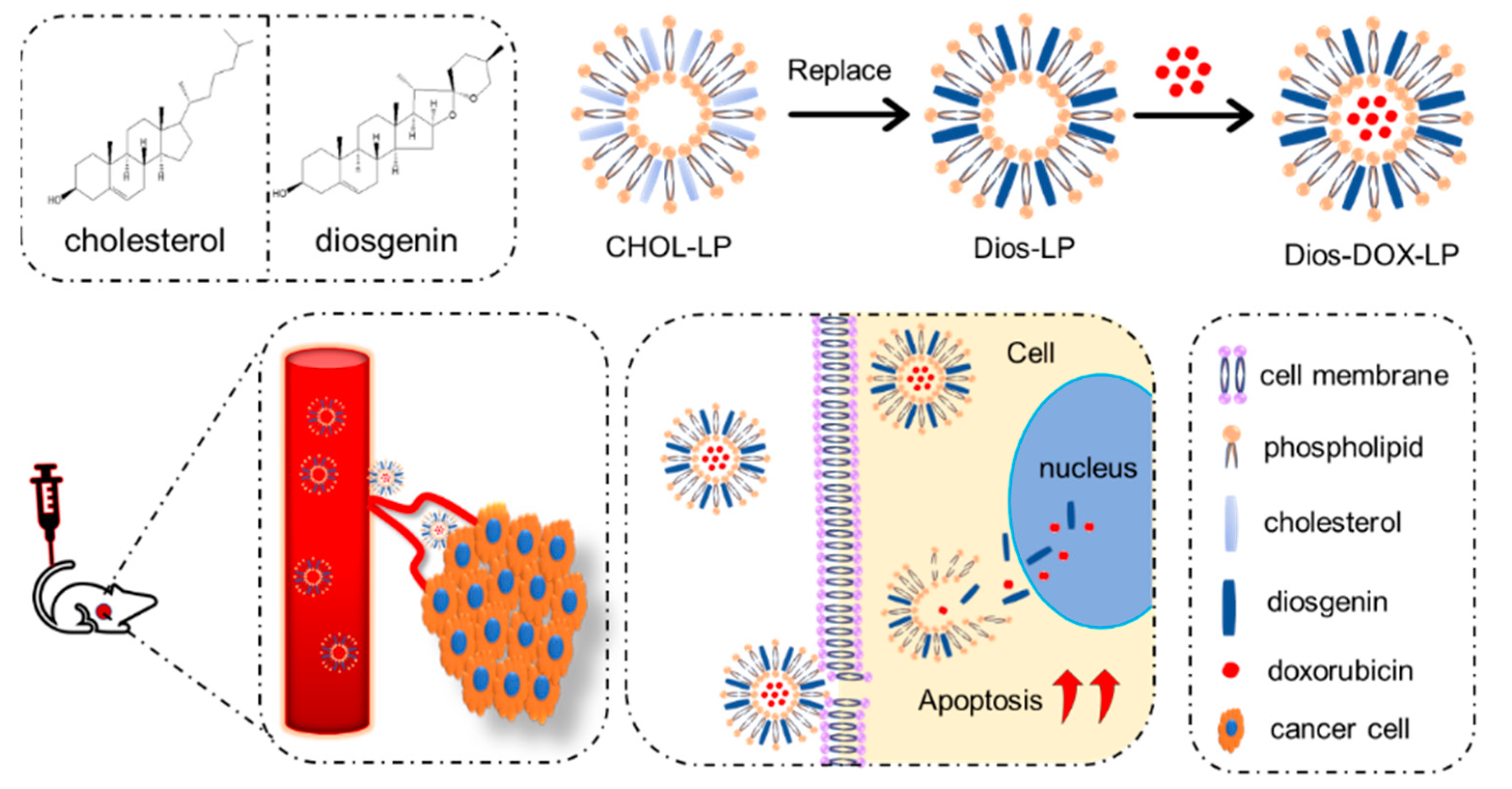 Pharmaceutics 14 01685 g001 550