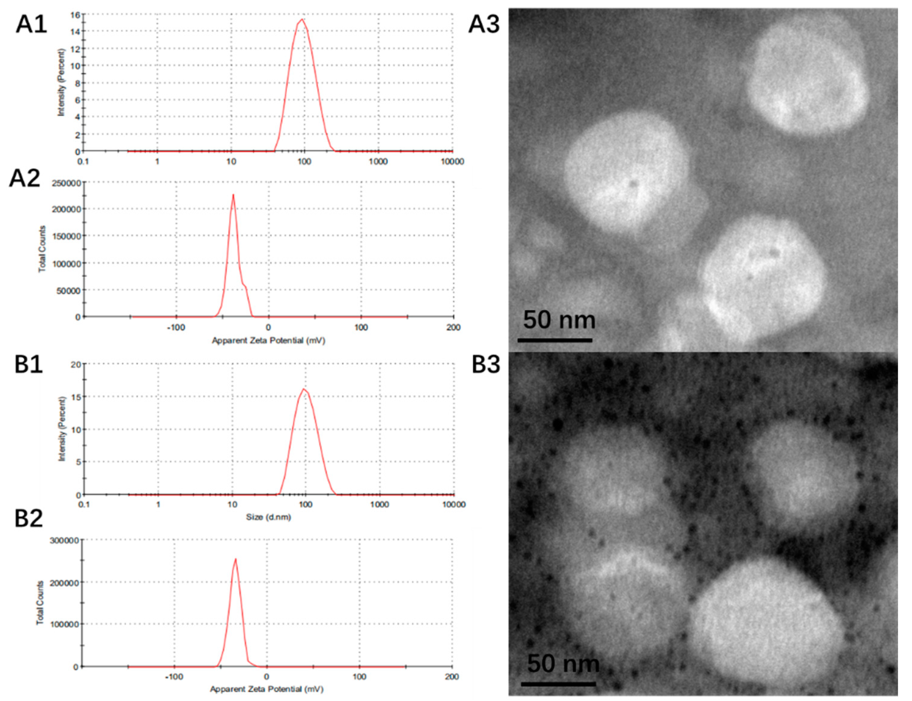 Pharmaceutics 14 01685 g002 550