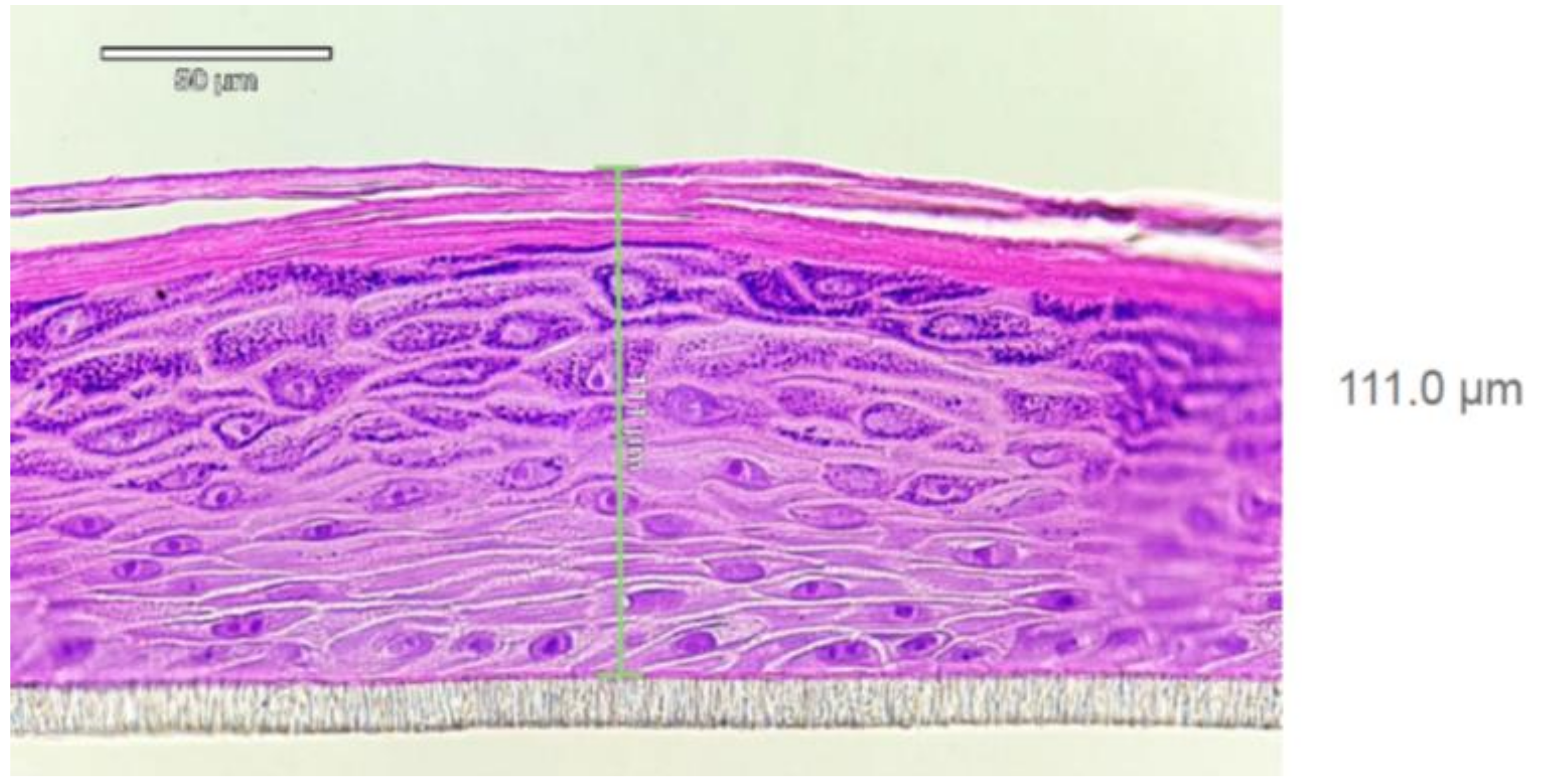 Pharmaceutics 14 01689 g002