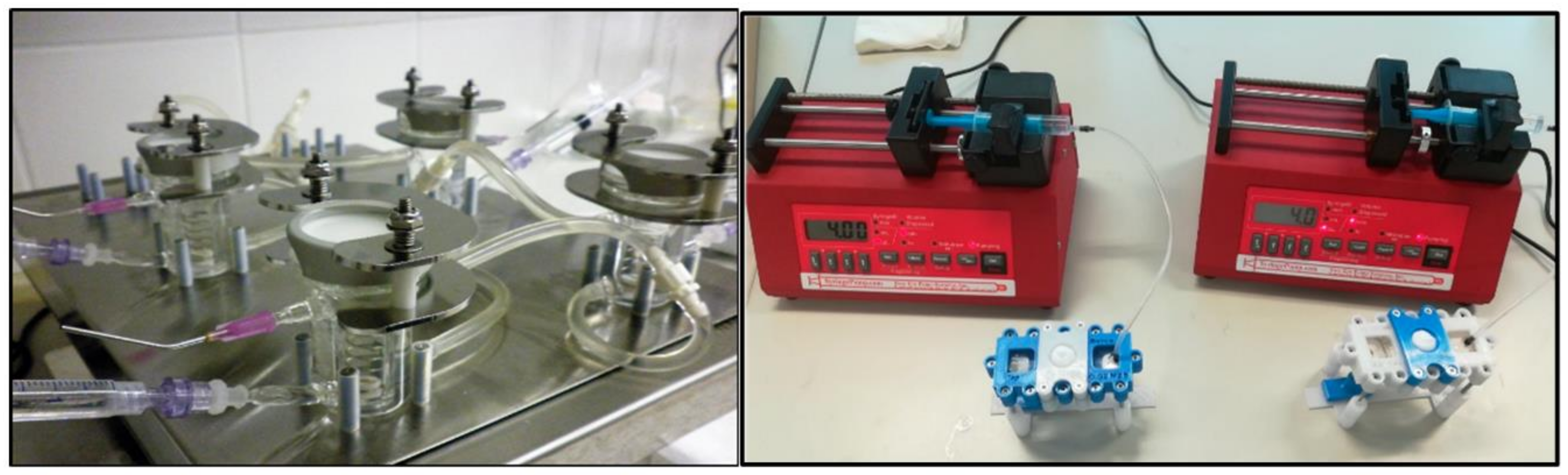 Pharmaceutics 14 01689 g003