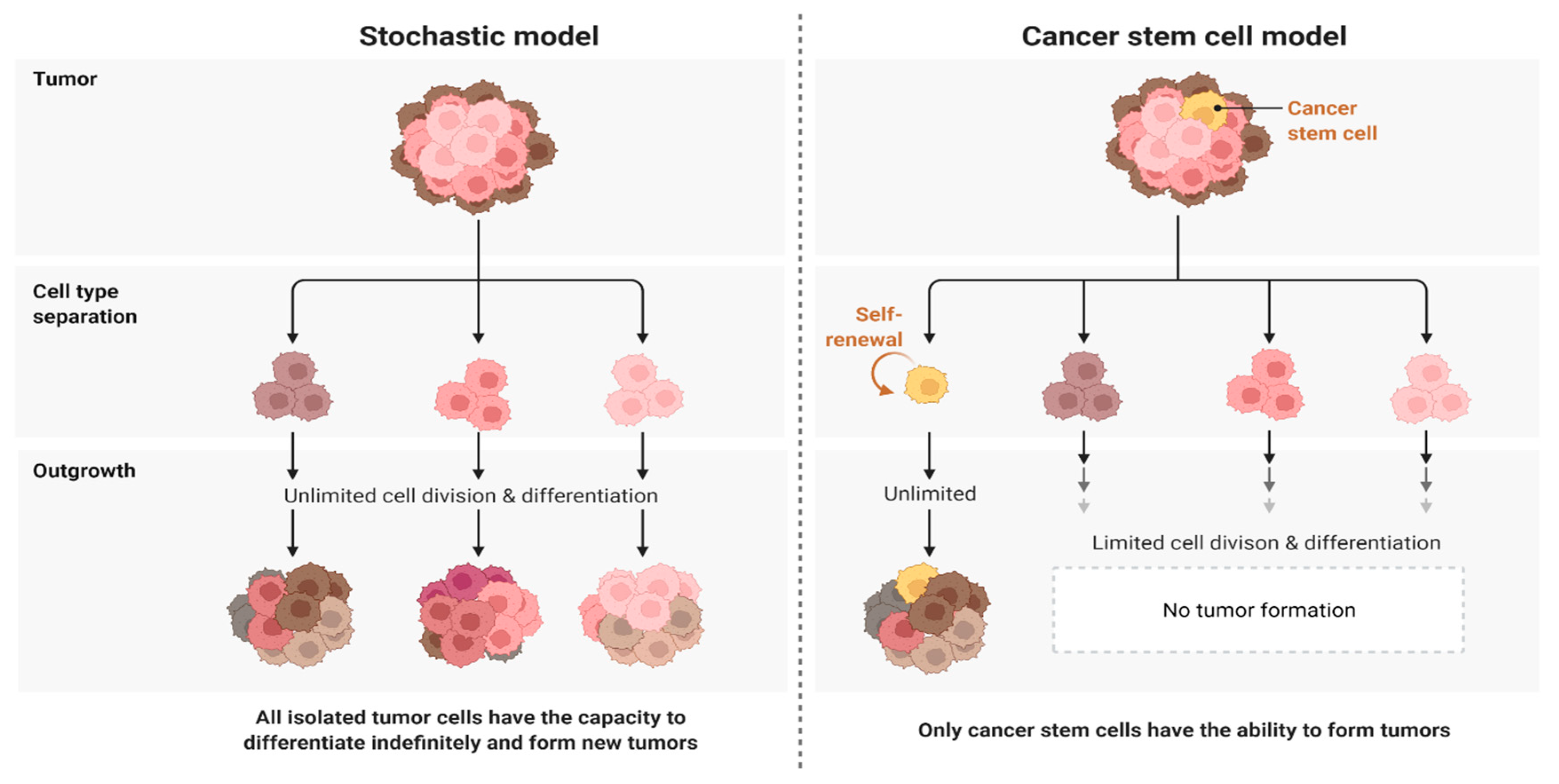 Pharmaceutics 14 01697 g001 550