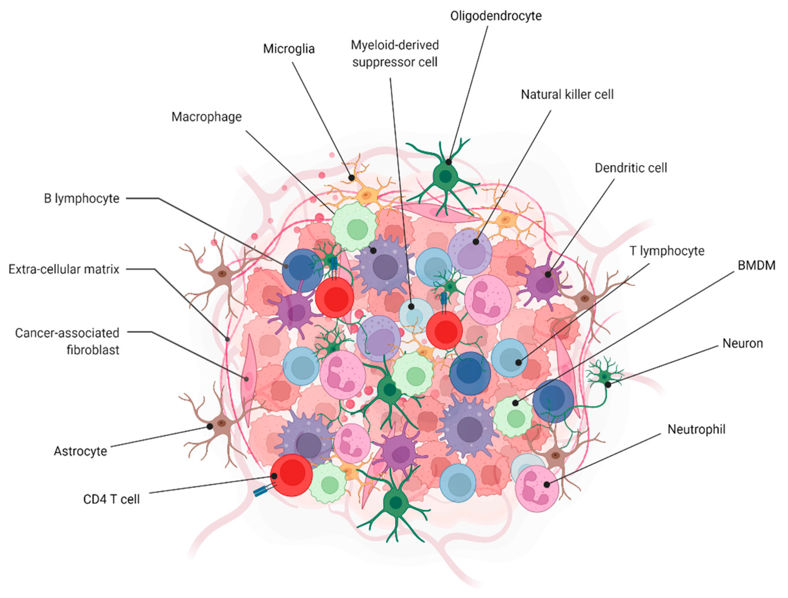 Pharmaceutics 14 01697 g002 550