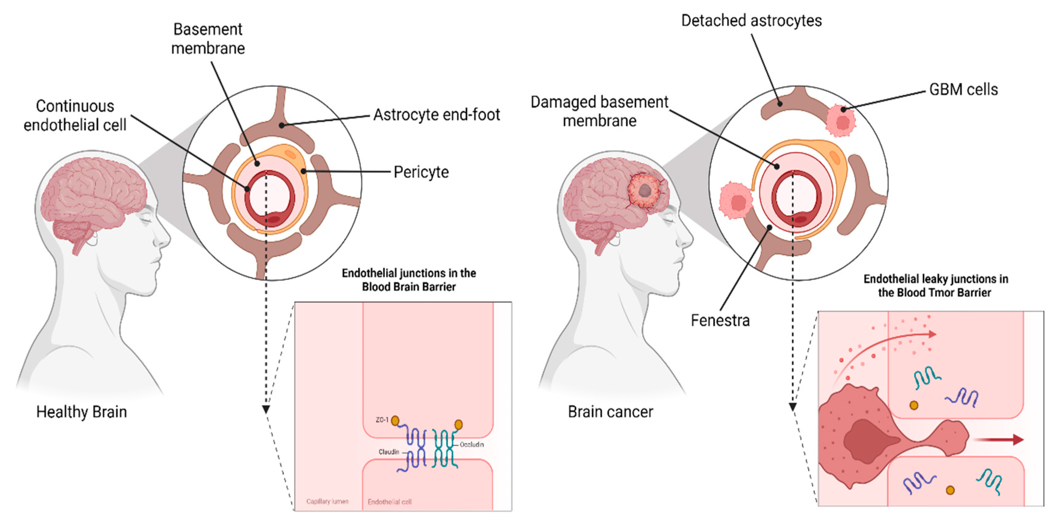 Pharmaceutics 14 01697 g003 550