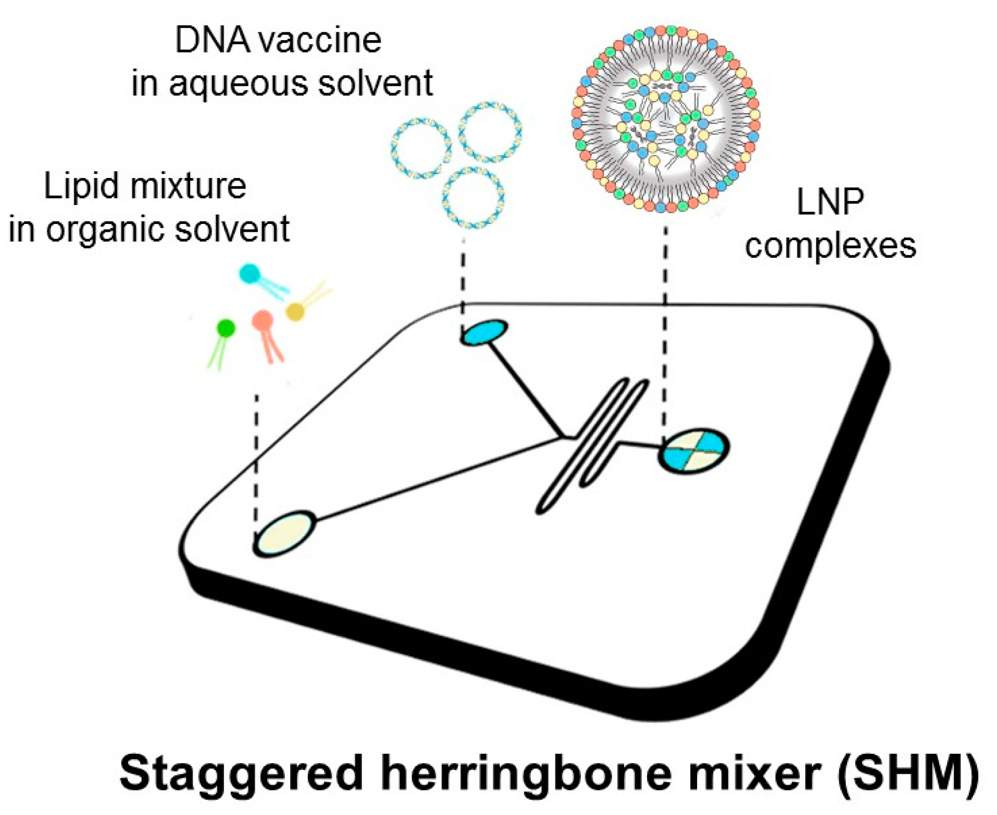 Pharmaceutics 14 01698 g001 550