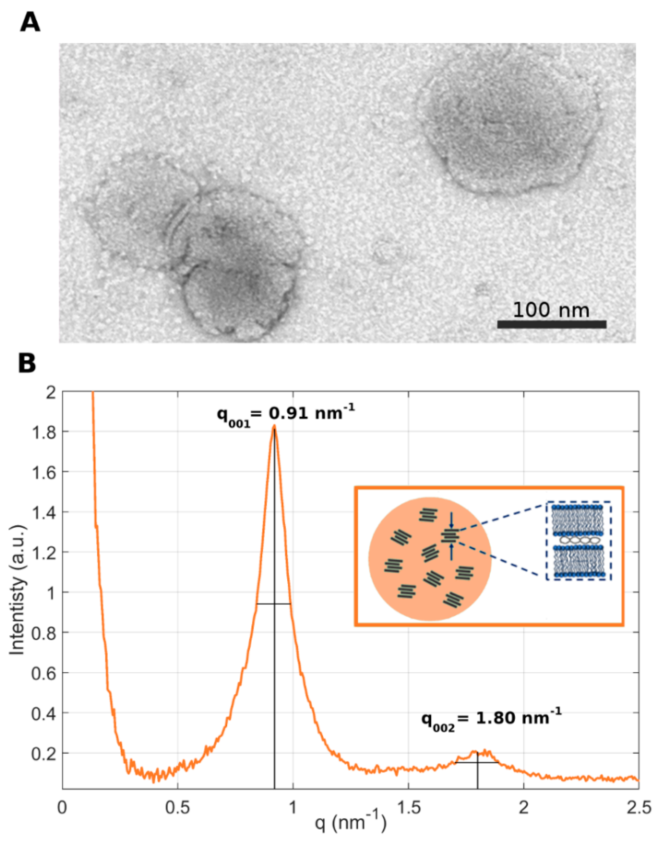 Pharmaceutics 14 01698 g003 550